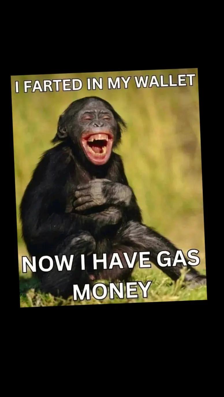 @Linda "Findus"