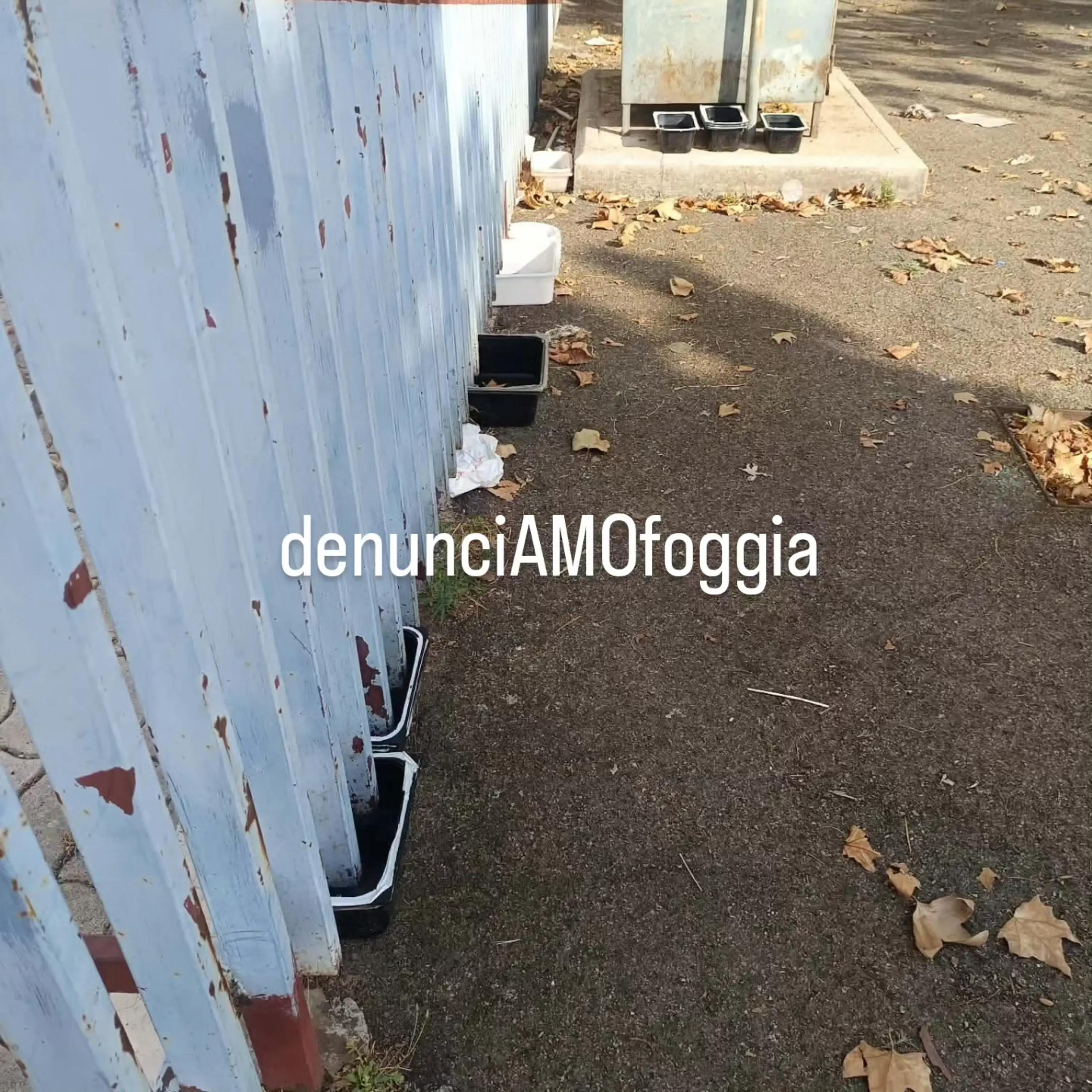 @denunciAMOfoggia