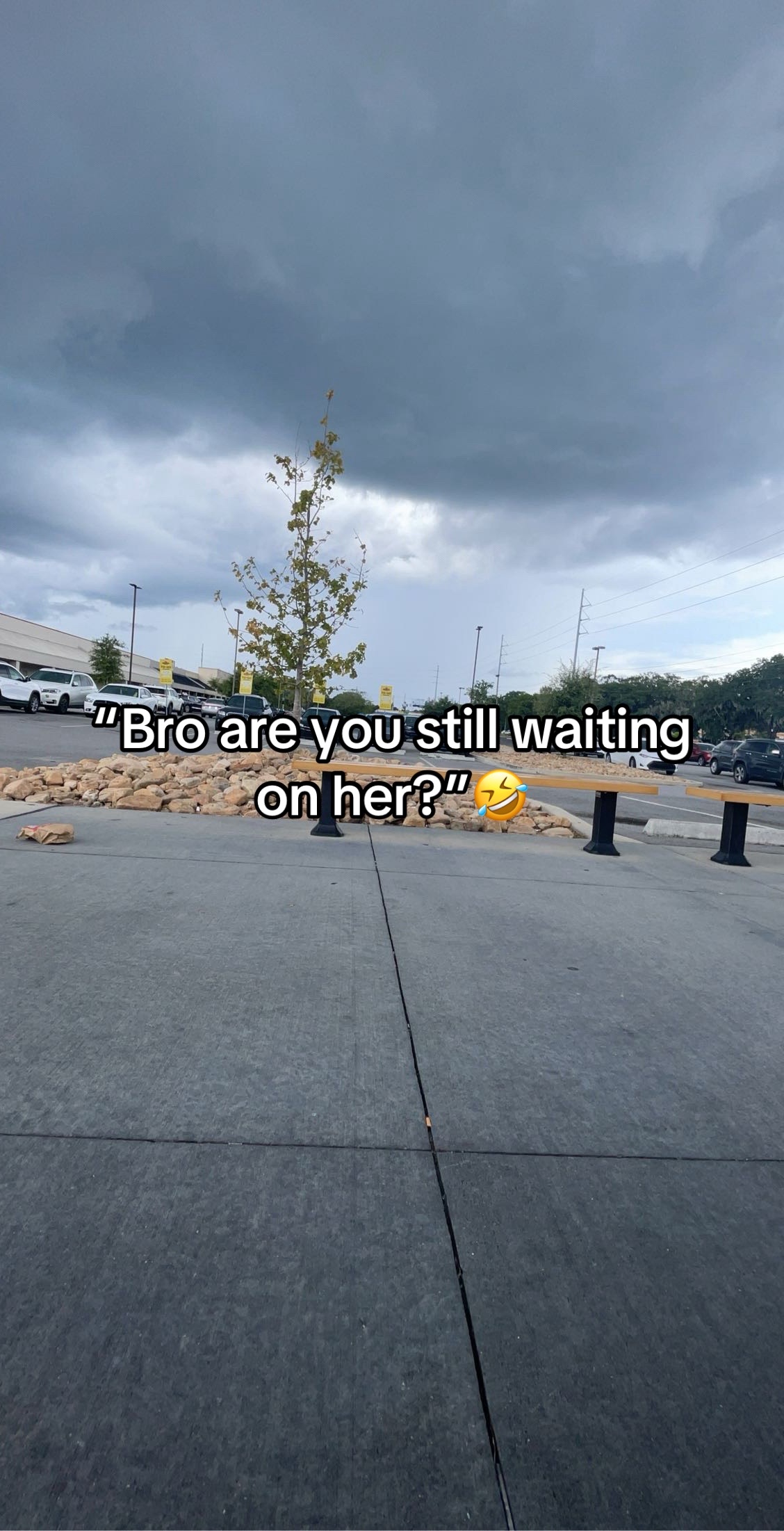 @Notification