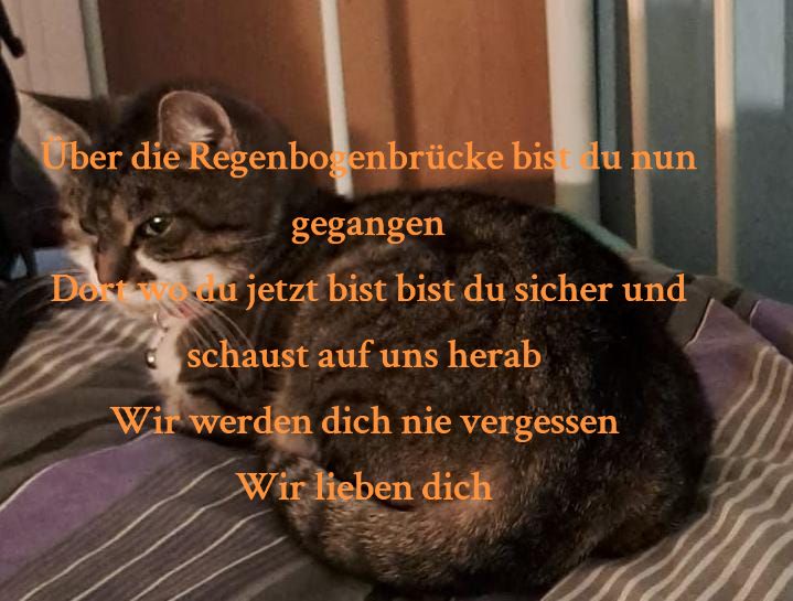 @Zweifachmama0®Team Trovato