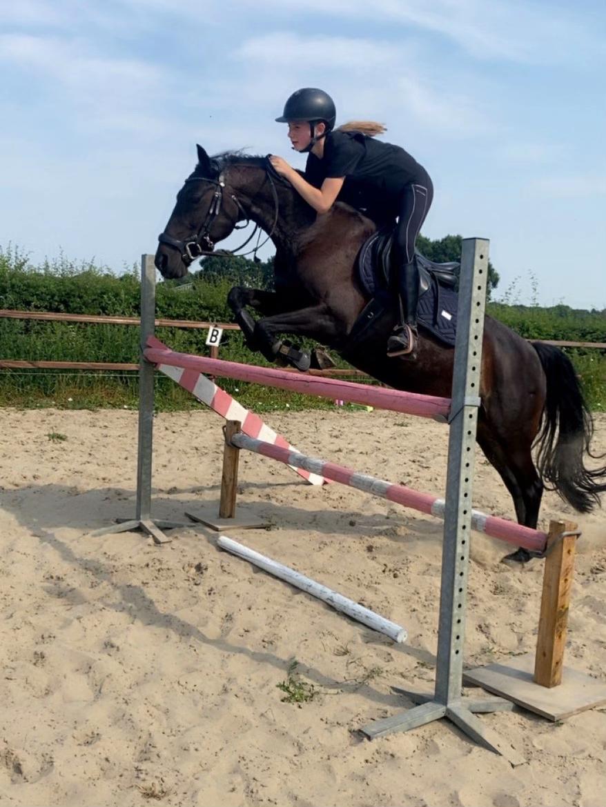 @Equi Roosje🇳🇱