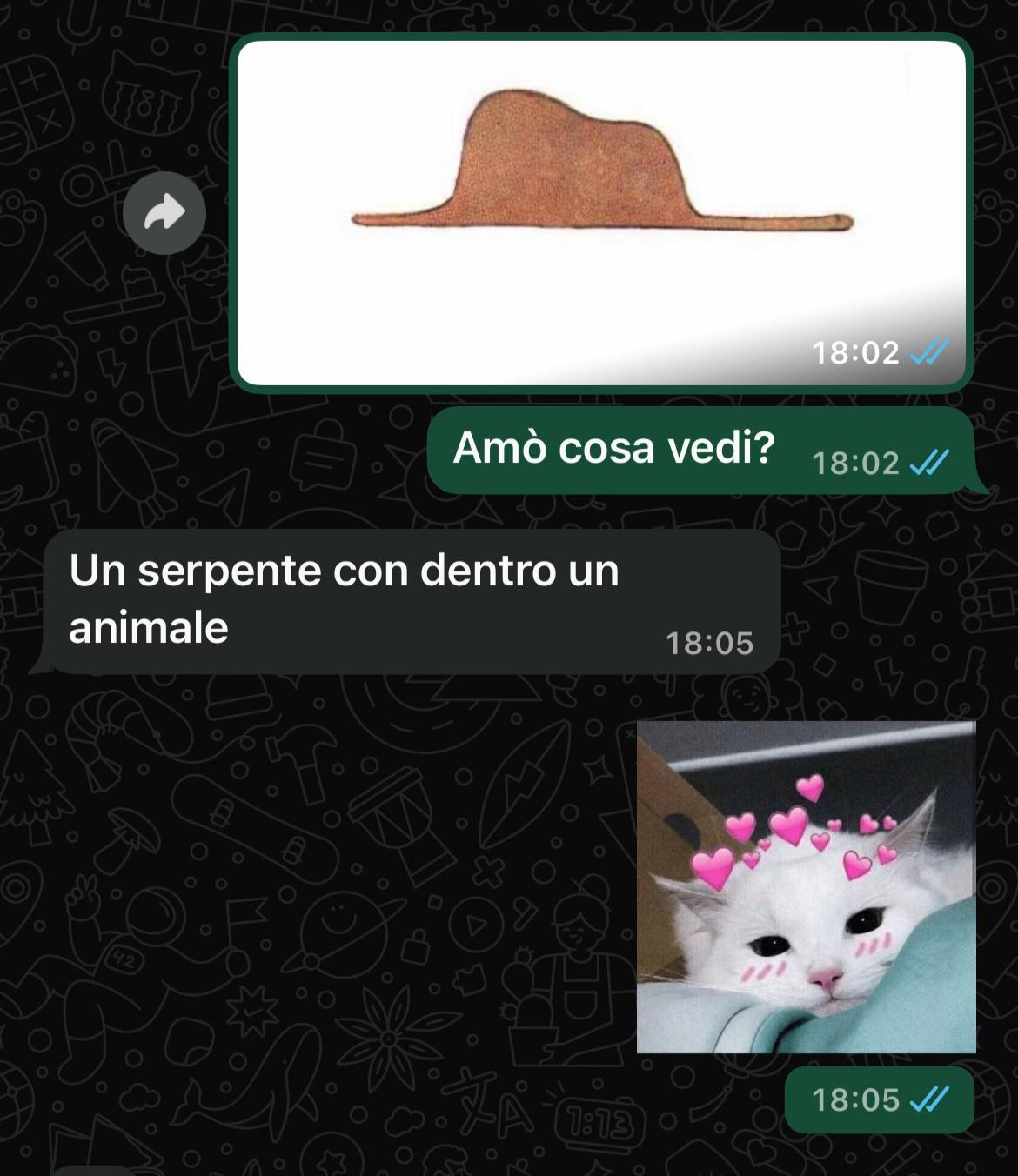 @angelomicelii05