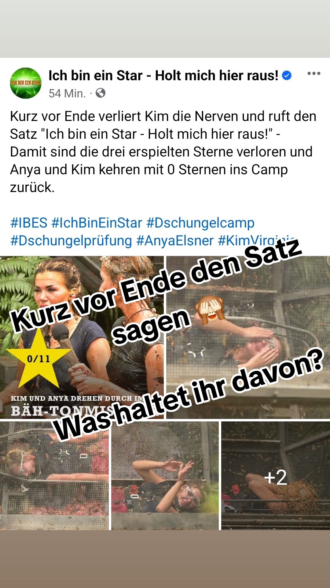 @Sebo_037