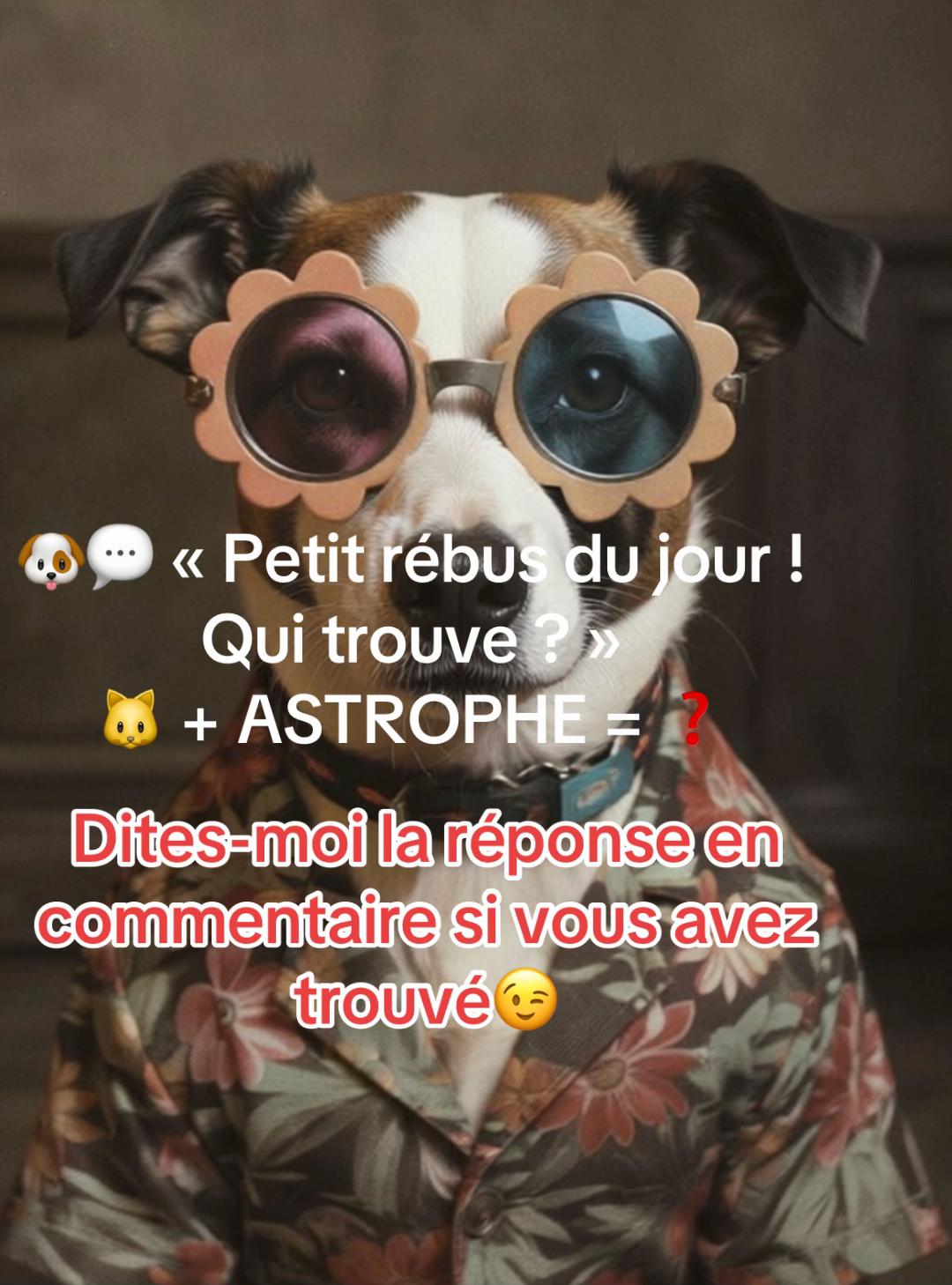 @Drôle de bête 😜