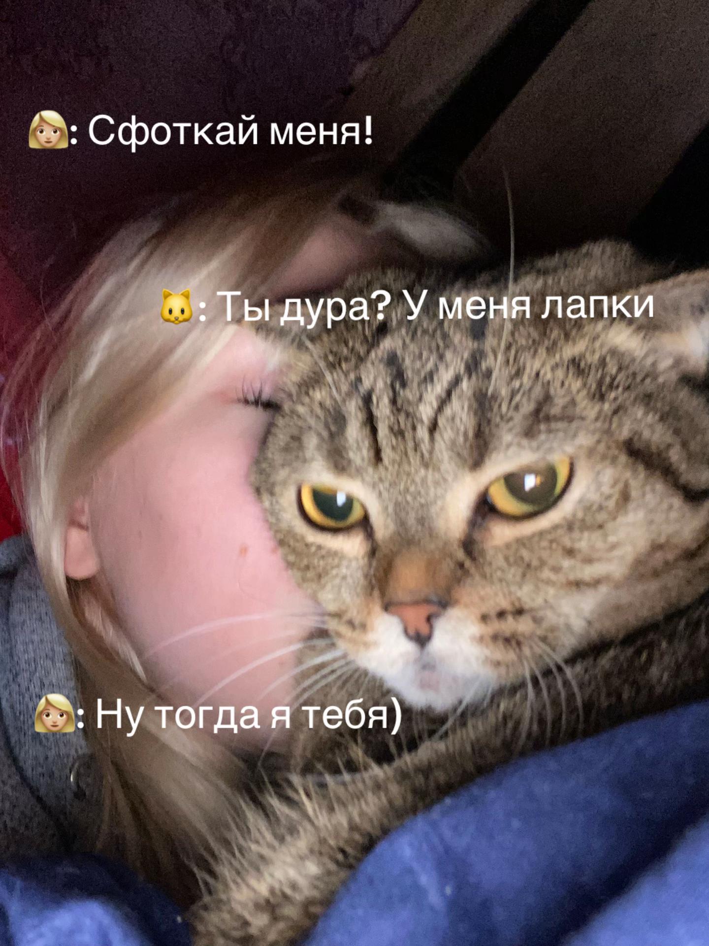@тгк: diehekxn