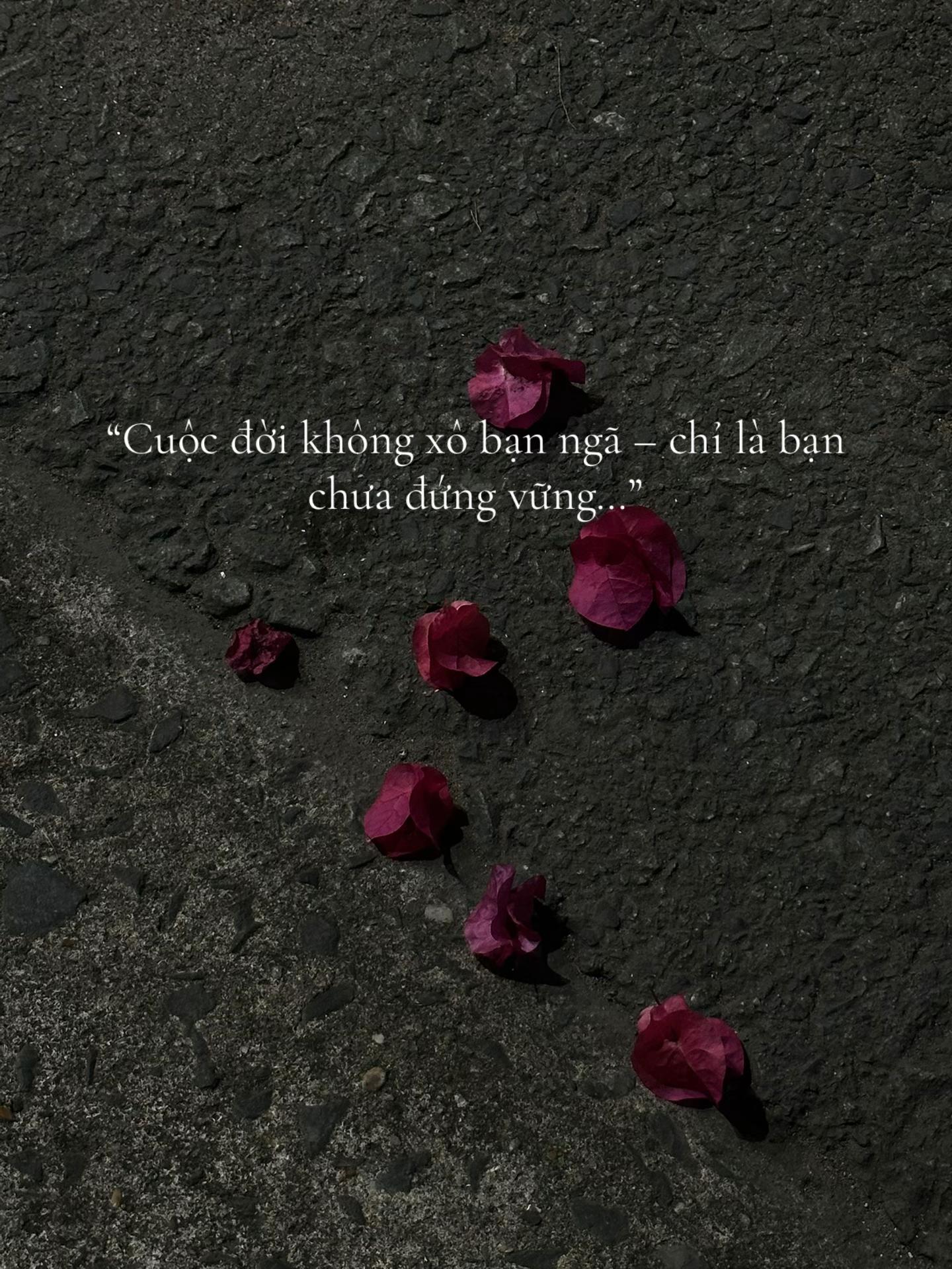 @Tui Tên Toàn