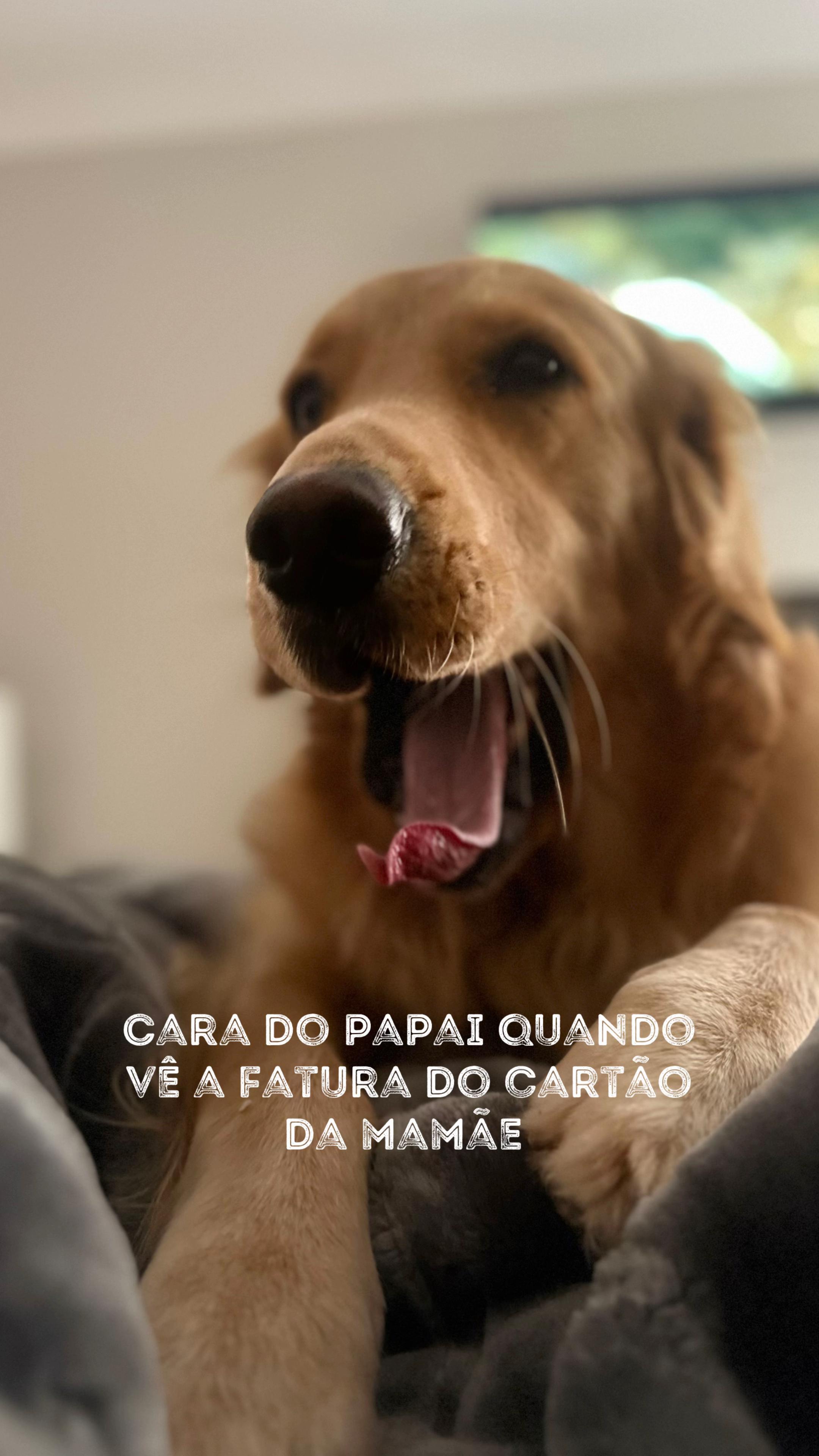 @Vanessa Moreira