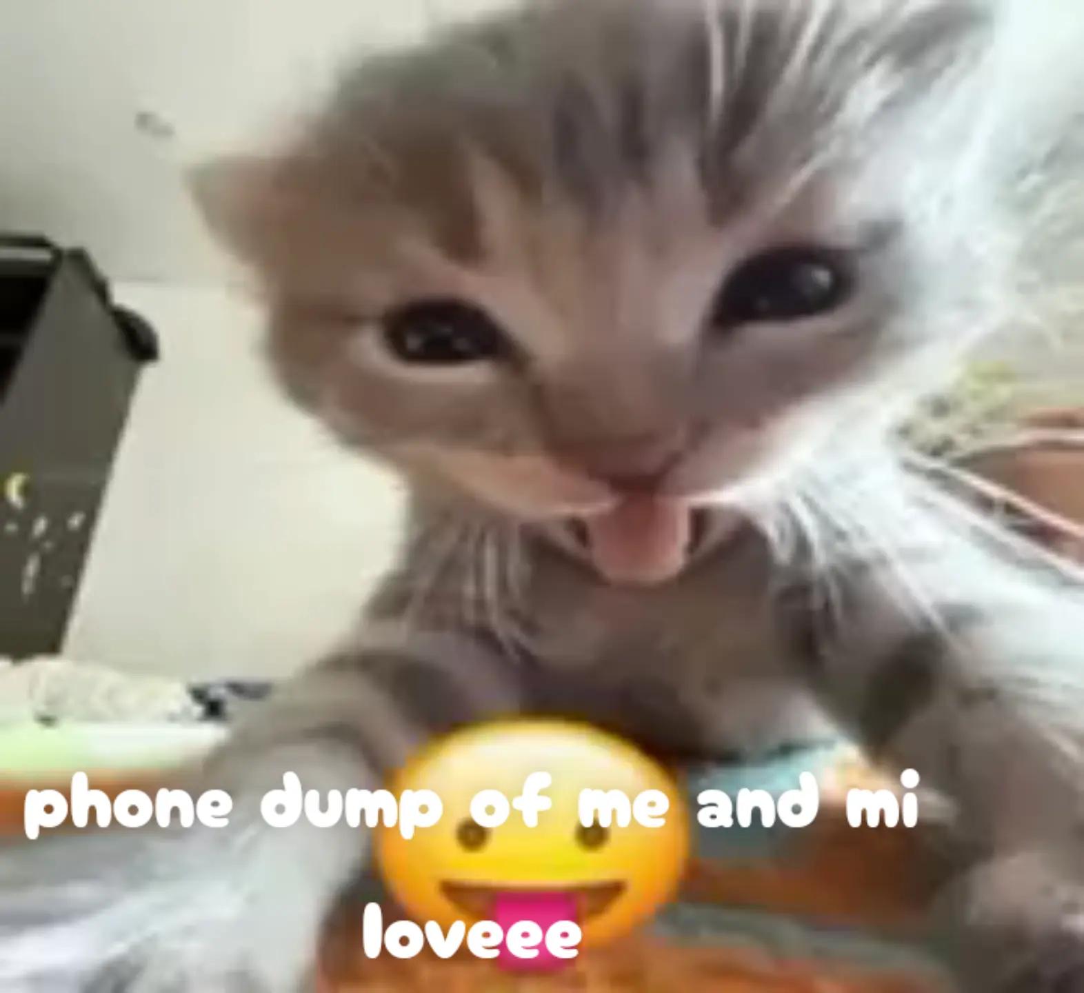 @:♡•♬✧𝓶𝓮𝓵𝓵𝔂𝓶𝓮𝓵𝓸𝓷*+:•*