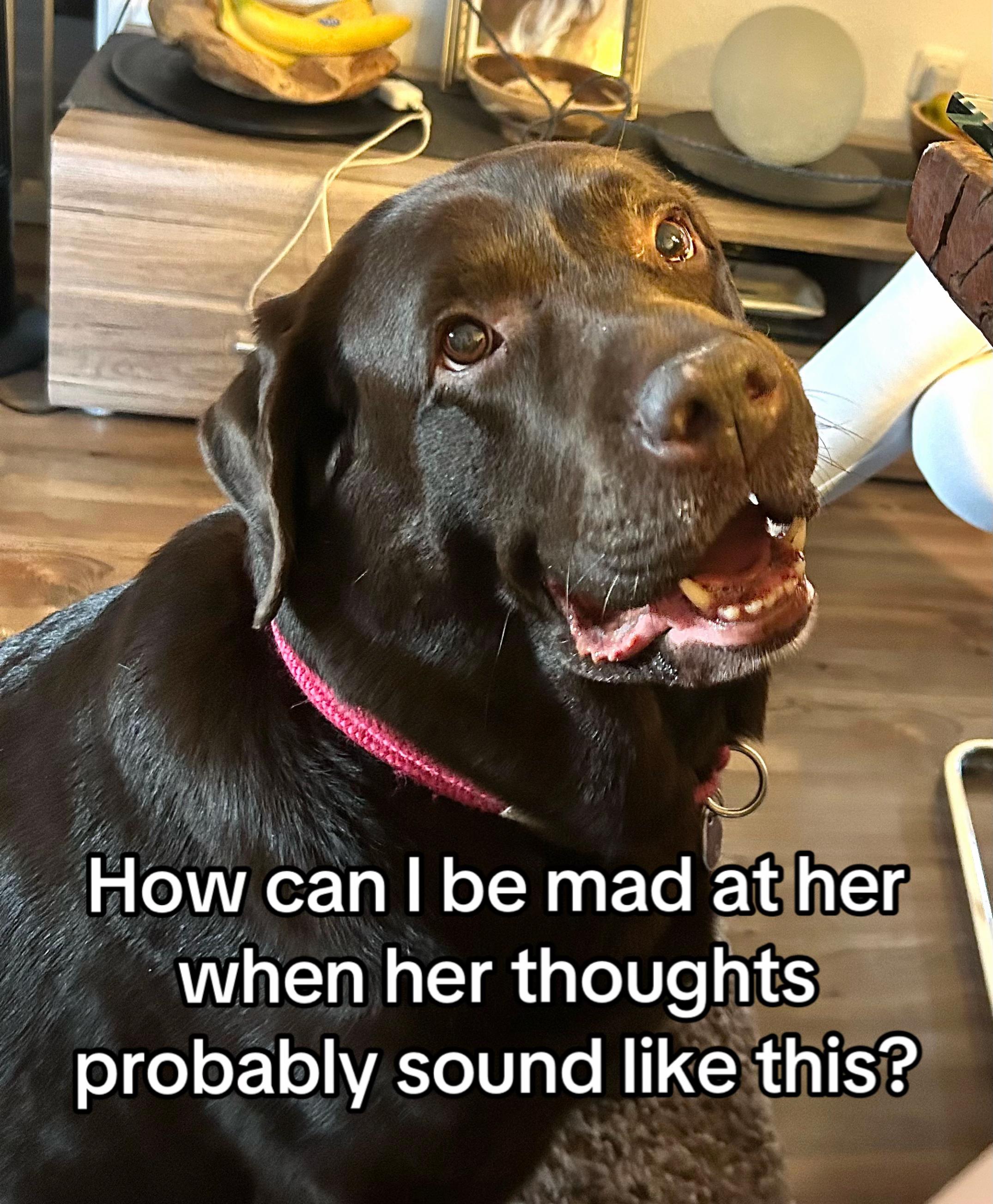 @💭❤️🩹