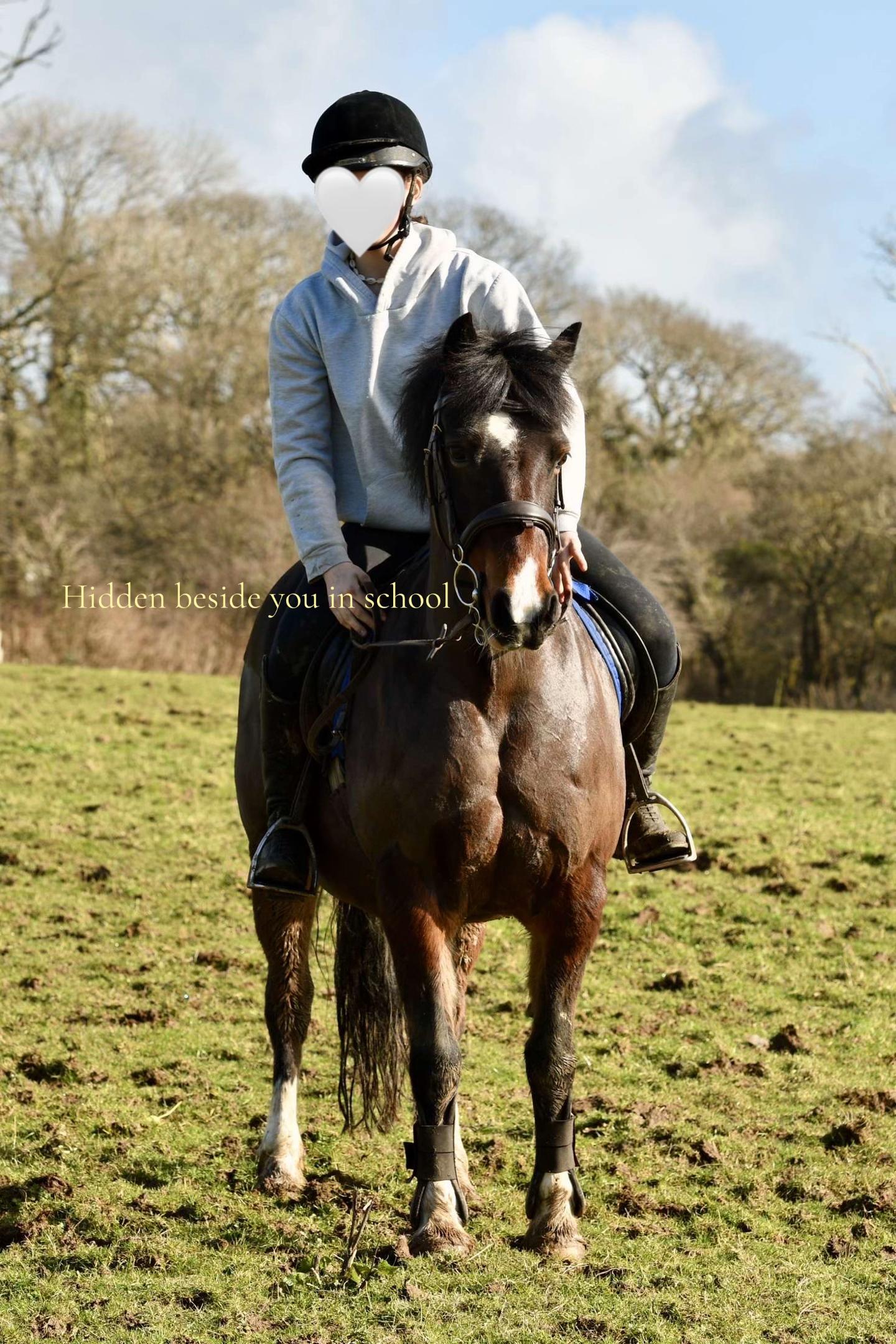 @amelia_showjumping2