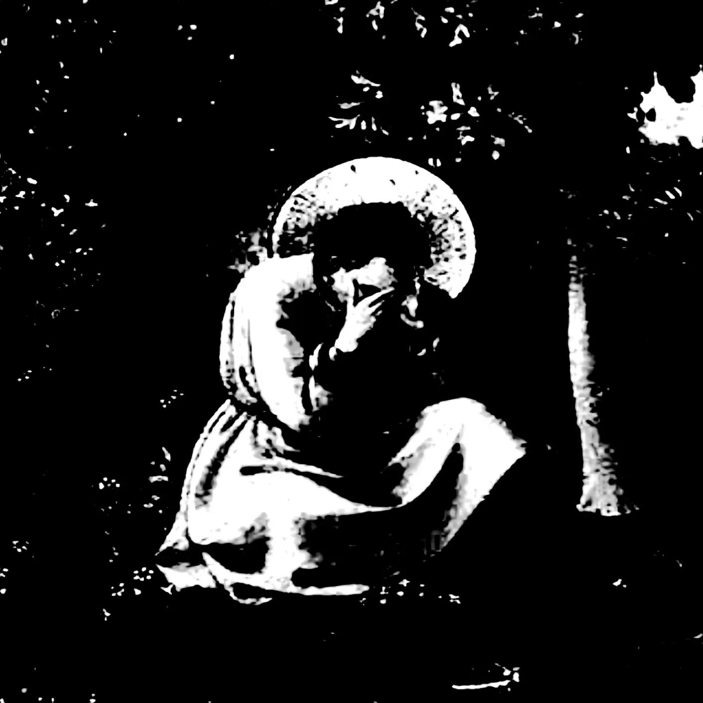 @Luluzzin o Cat&oacute;lico 🇻🇦