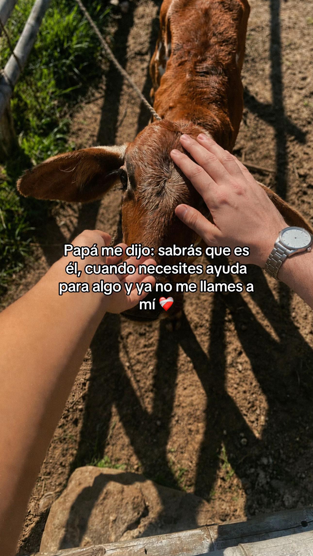 @𝐀𝐍𝐀 𝐌𝐀𝐑&Iacute;𝐀✨