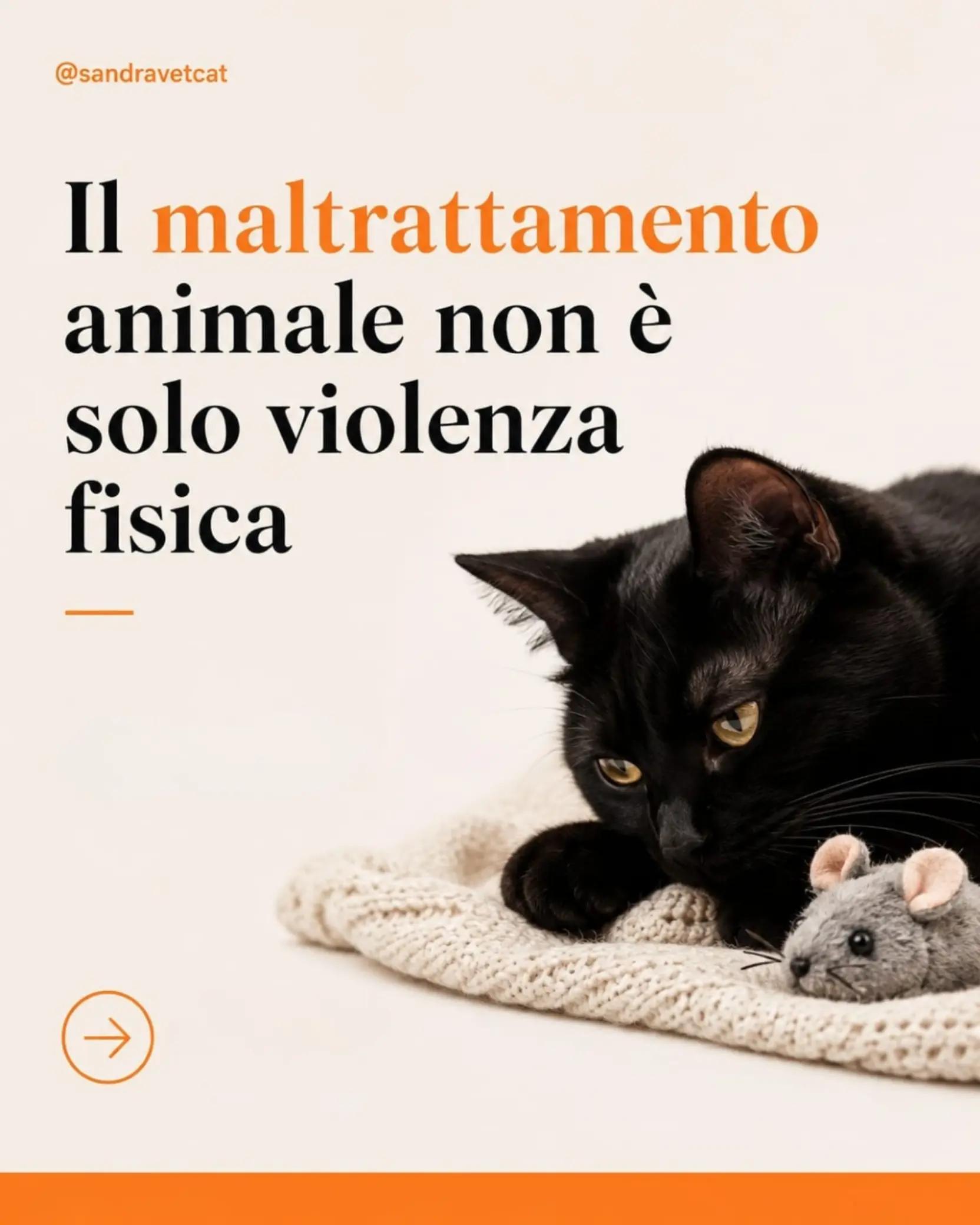 @Dr.ssa Sandra Viana