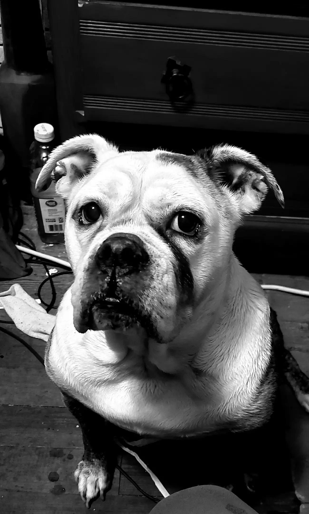 @Toria