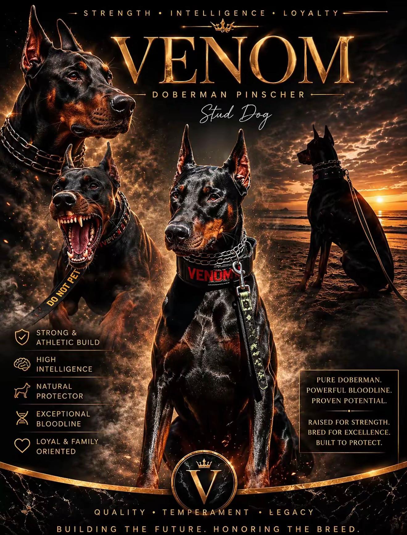 @protectiondobermanns