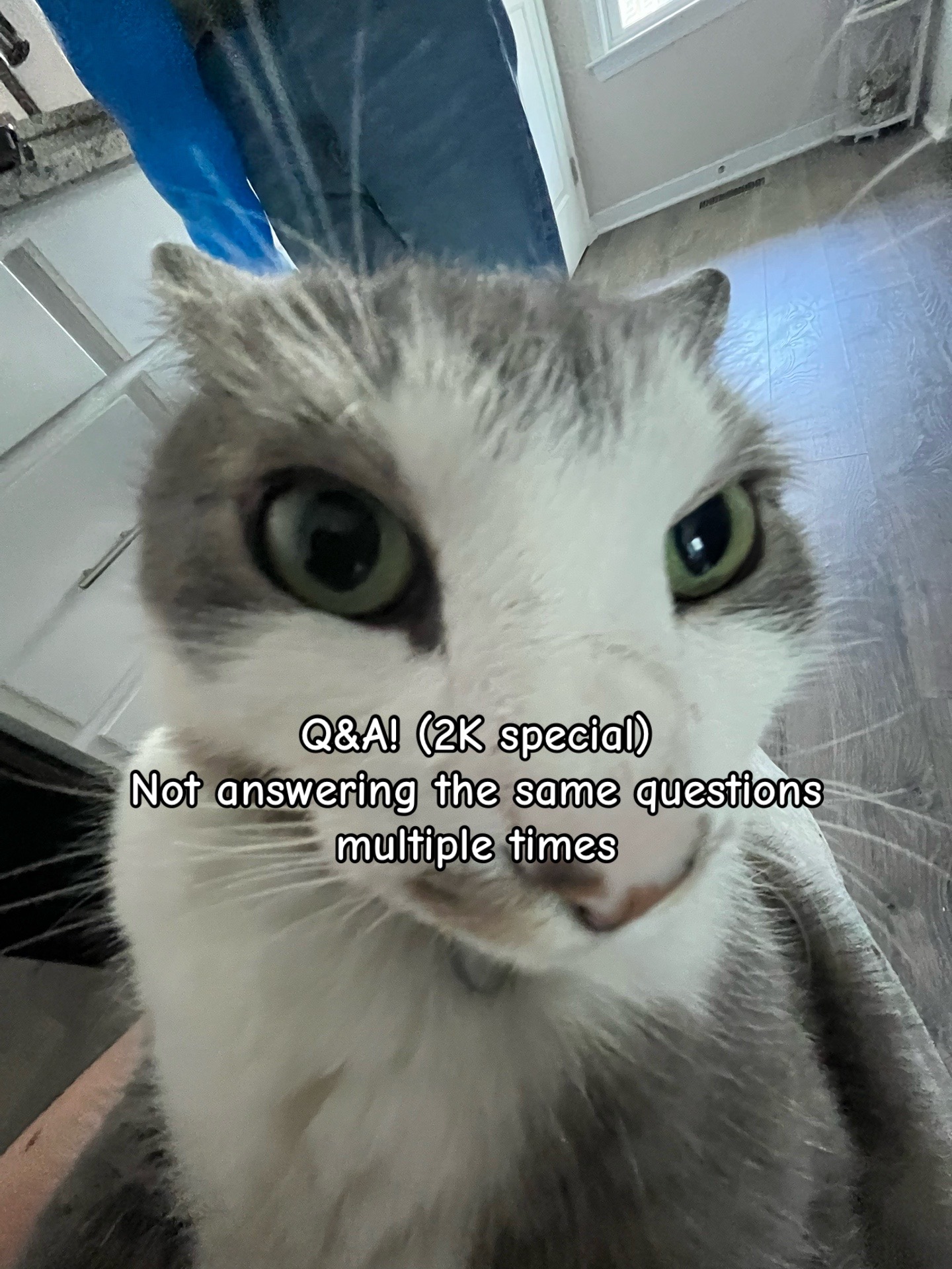 @Jay
