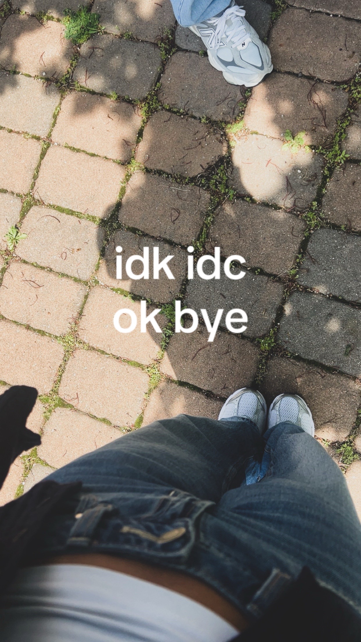 @🐛