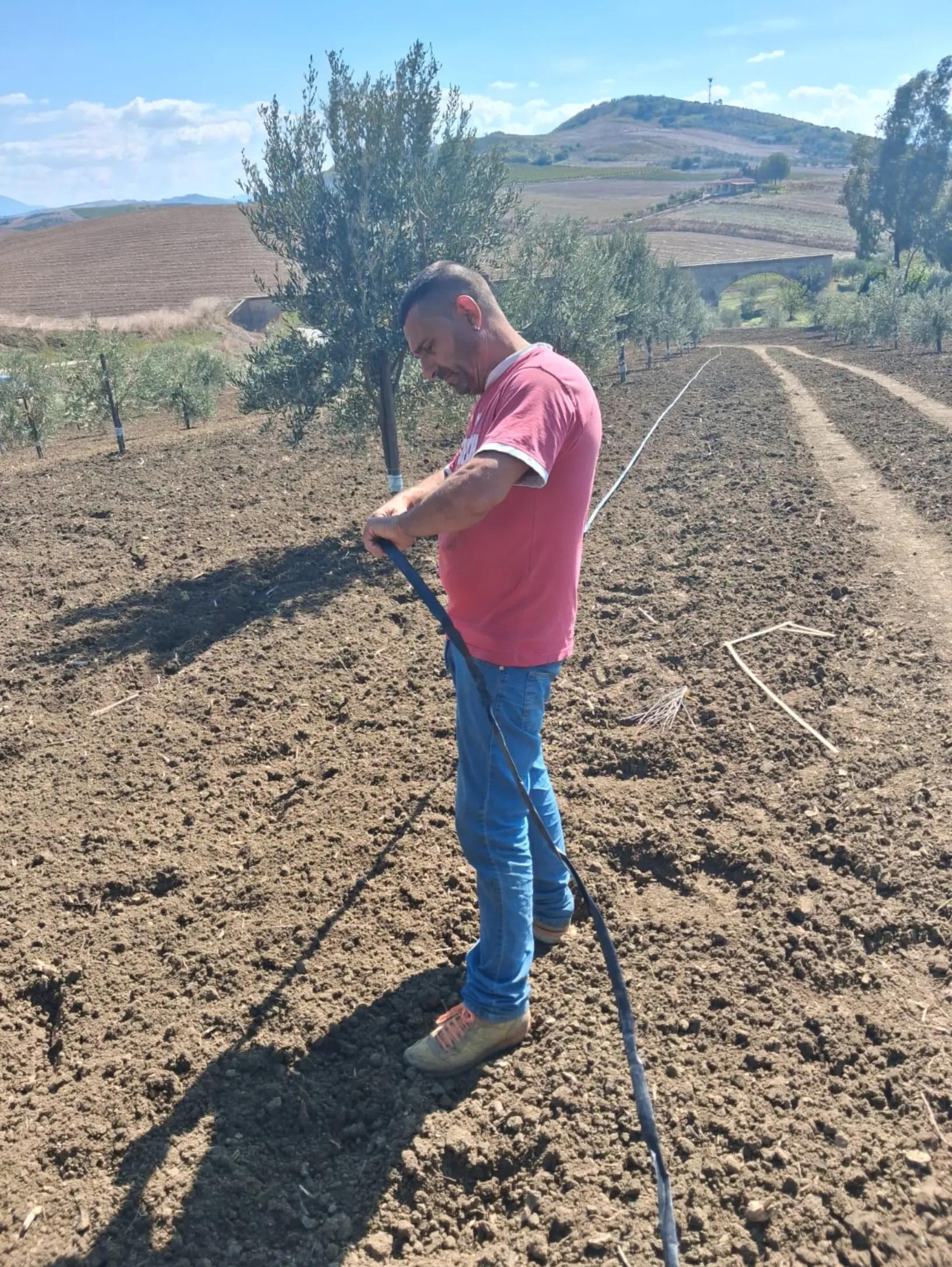 @Maurizio mulè
