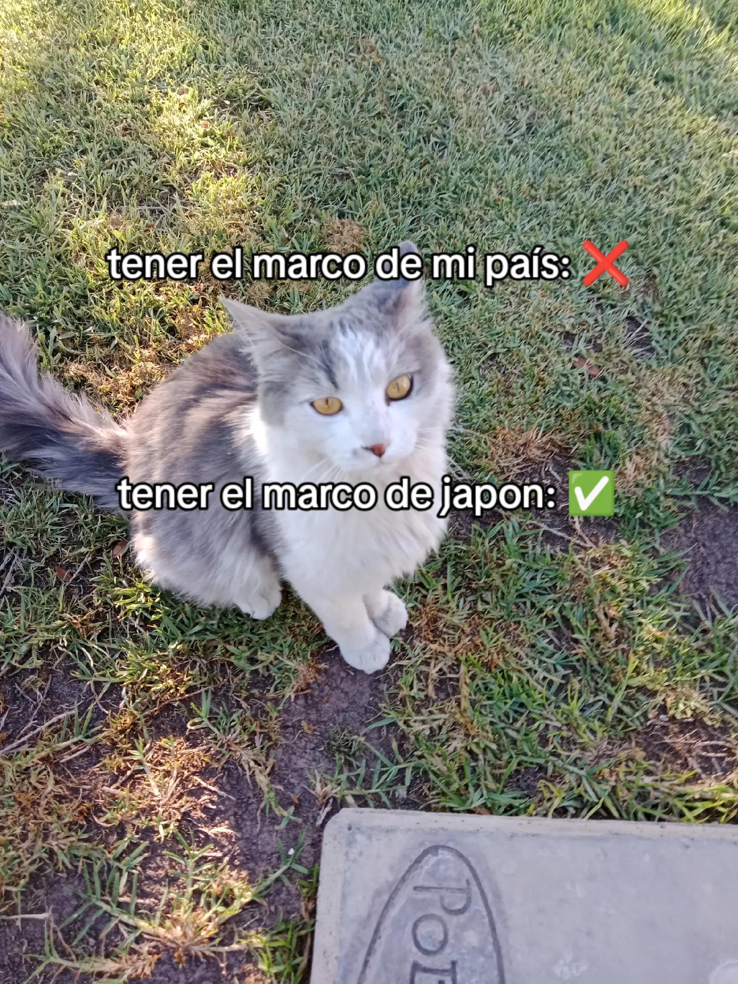 @𖤐꒷꒦~MIL0 J~𖤐꒷꒦