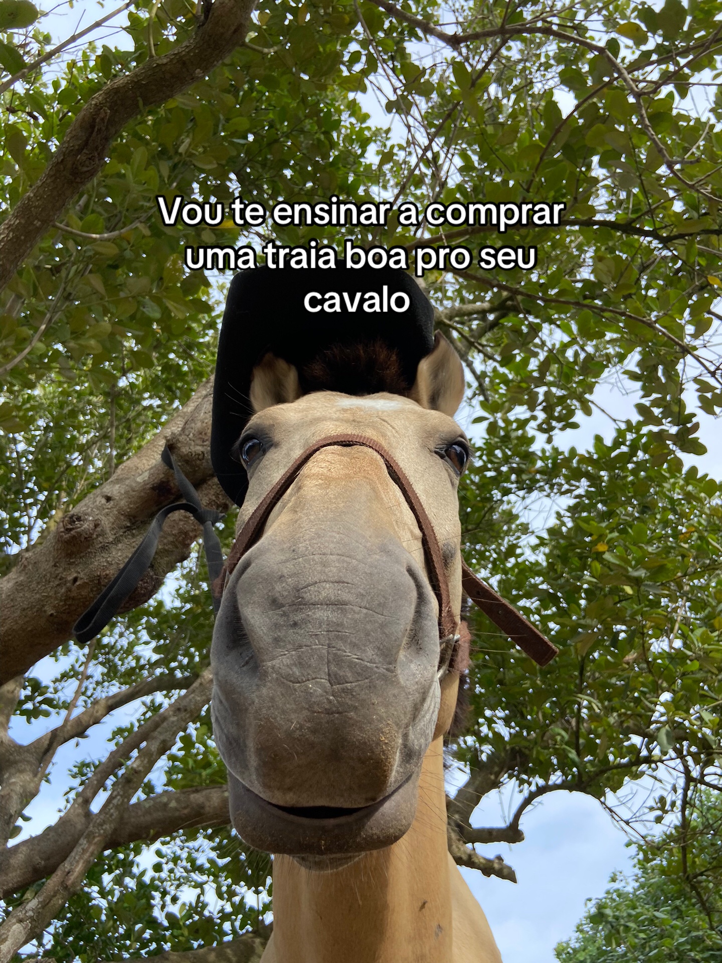 @Pᥱ́r᥆ᥣᥲ ᥱ ᥴᥲριtᥲ̃᥆