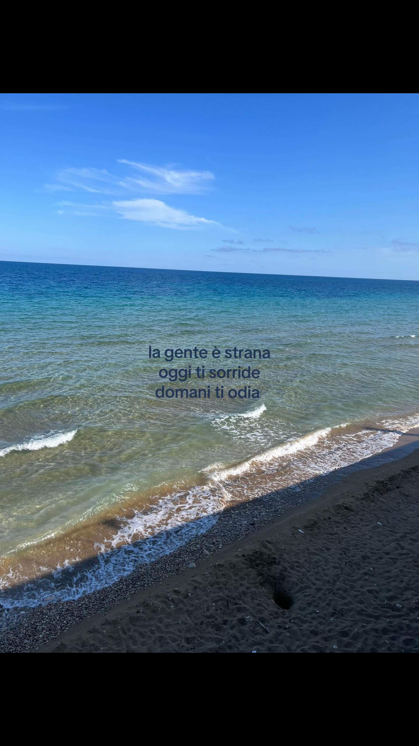 @VIDEO REPOST