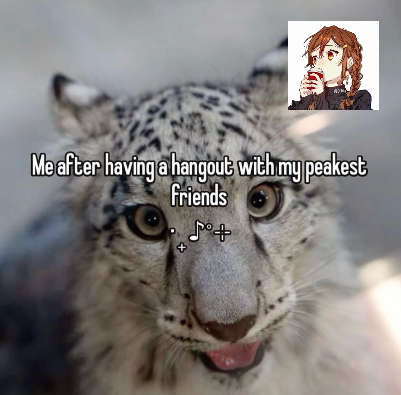 @💥𝓑𝓪𝓴𝓾𝓰𝓸&rsquo;𝓼 𝔀𝓲𝓯𝓮💥
