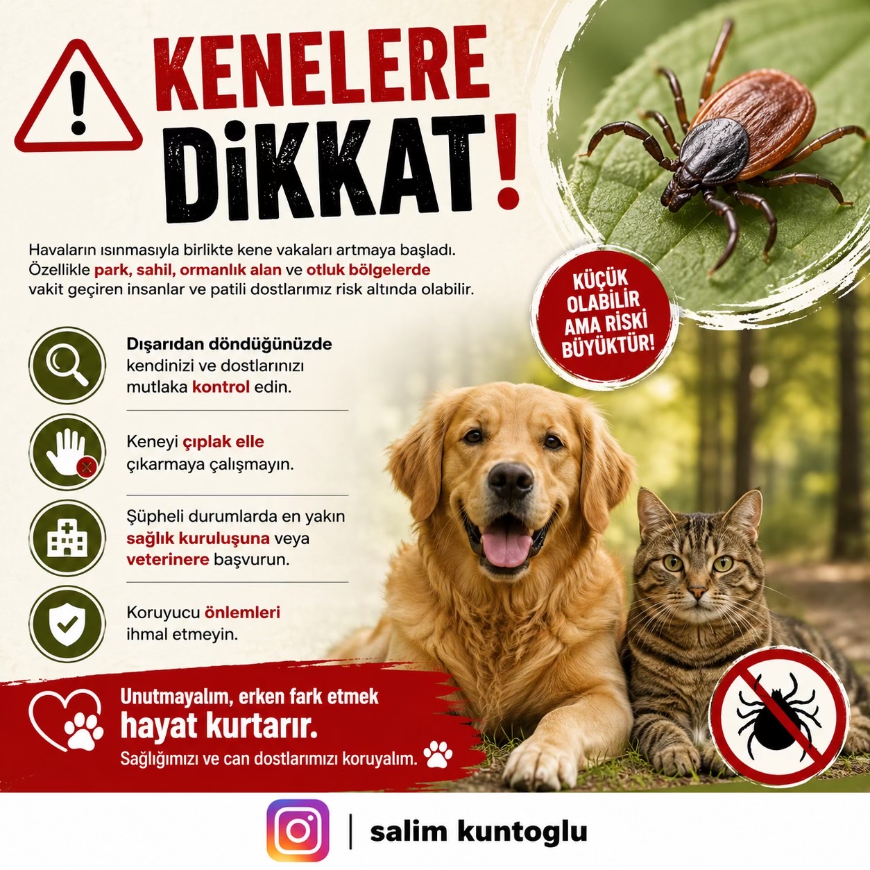 @Salim Kuntoğlu