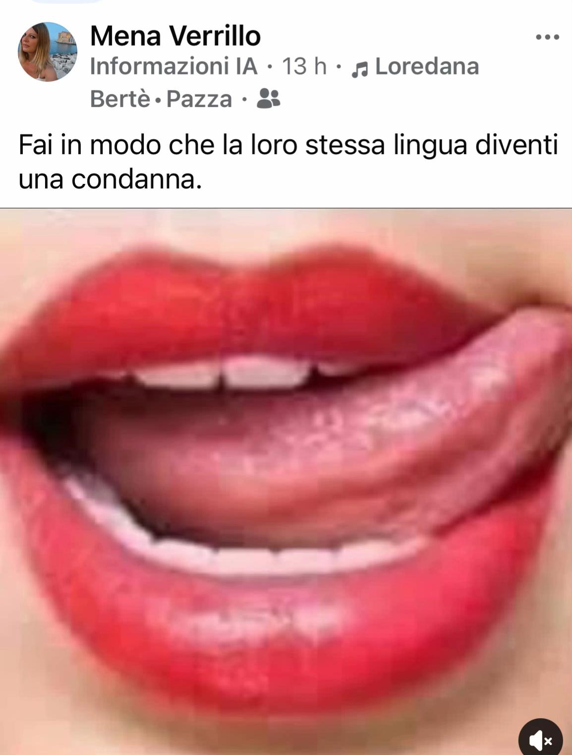 @menaverrillo602