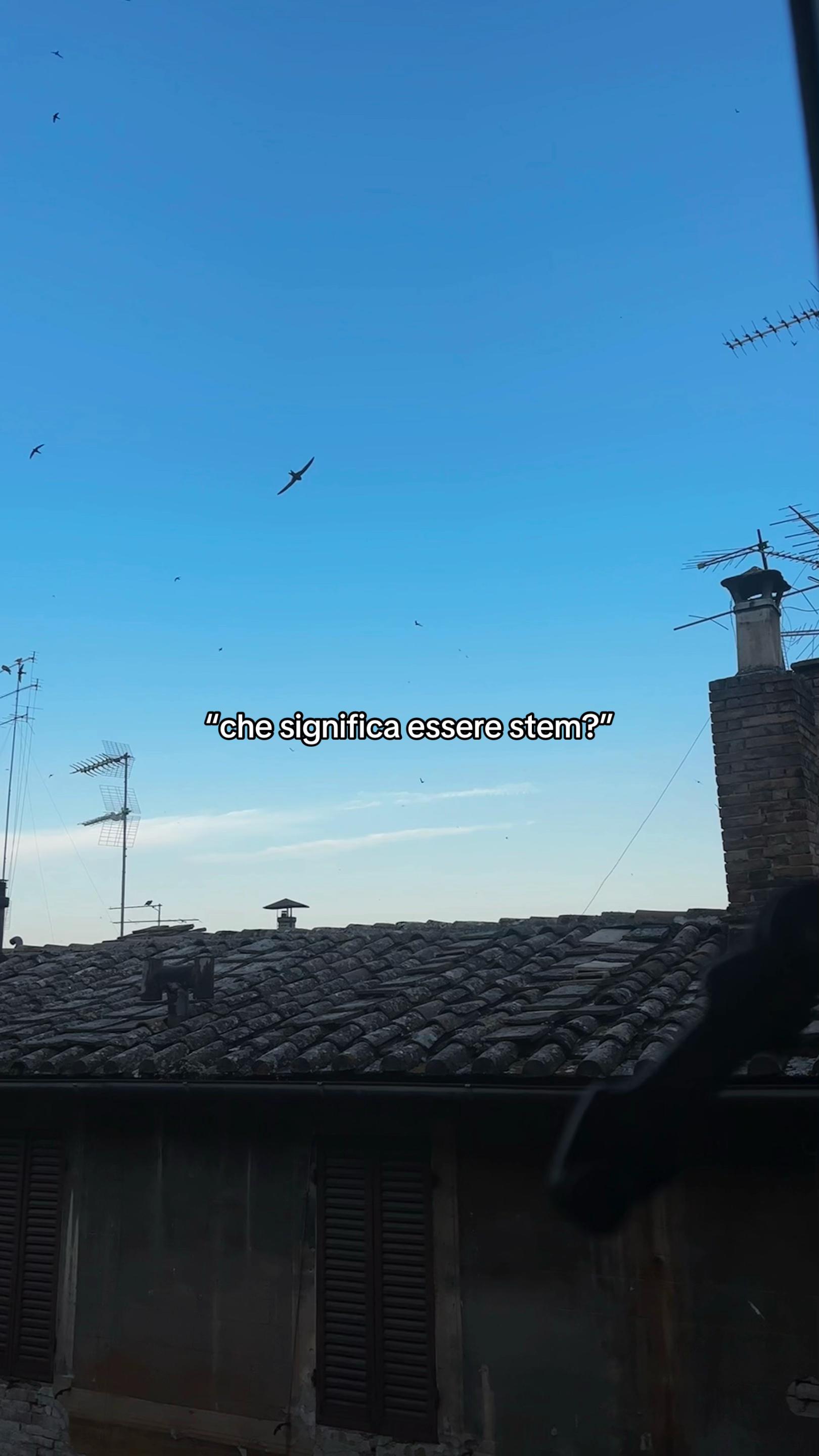 @la sua riccia preferita