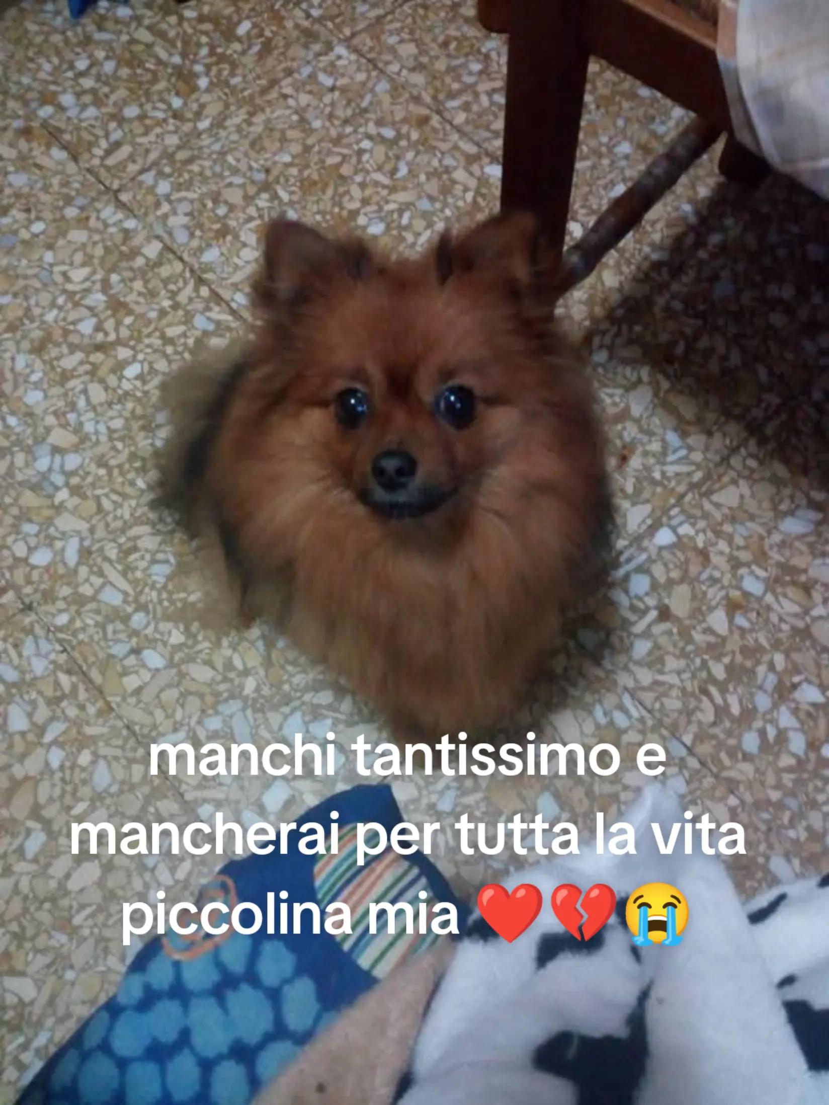 @Carmela Aiello