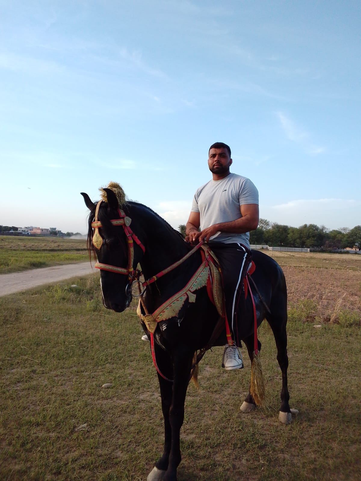 @Pehlwan Qadeer jatt