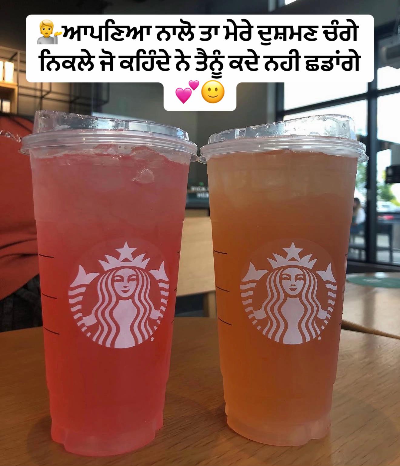 @vehlijanta761