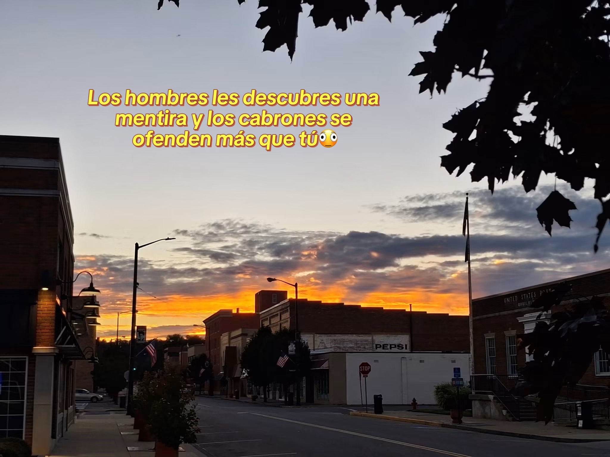 @Luz Gomez