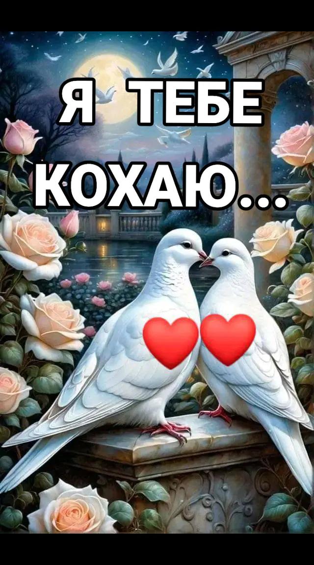 @дружина військового 💙💛