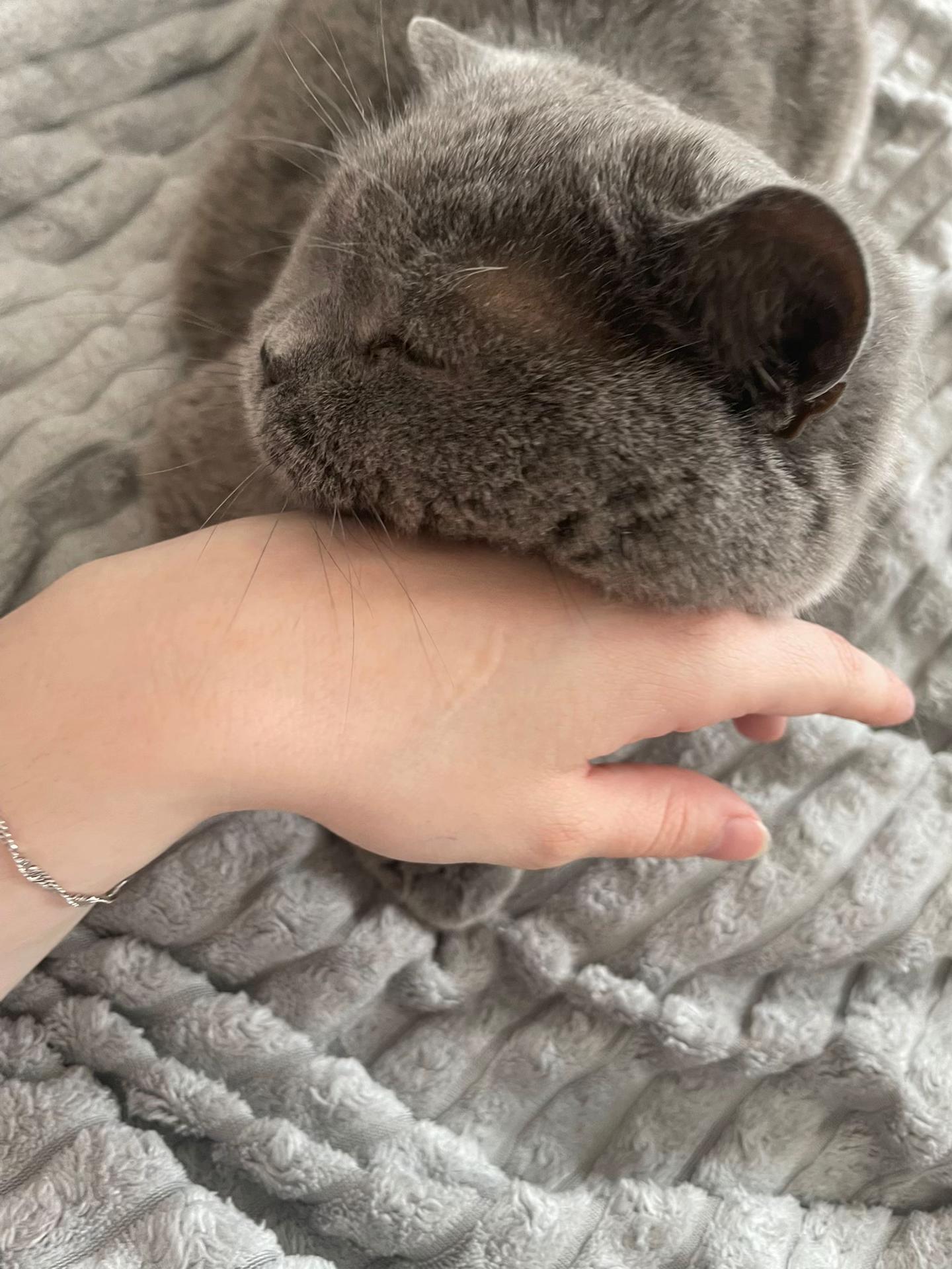 @олька