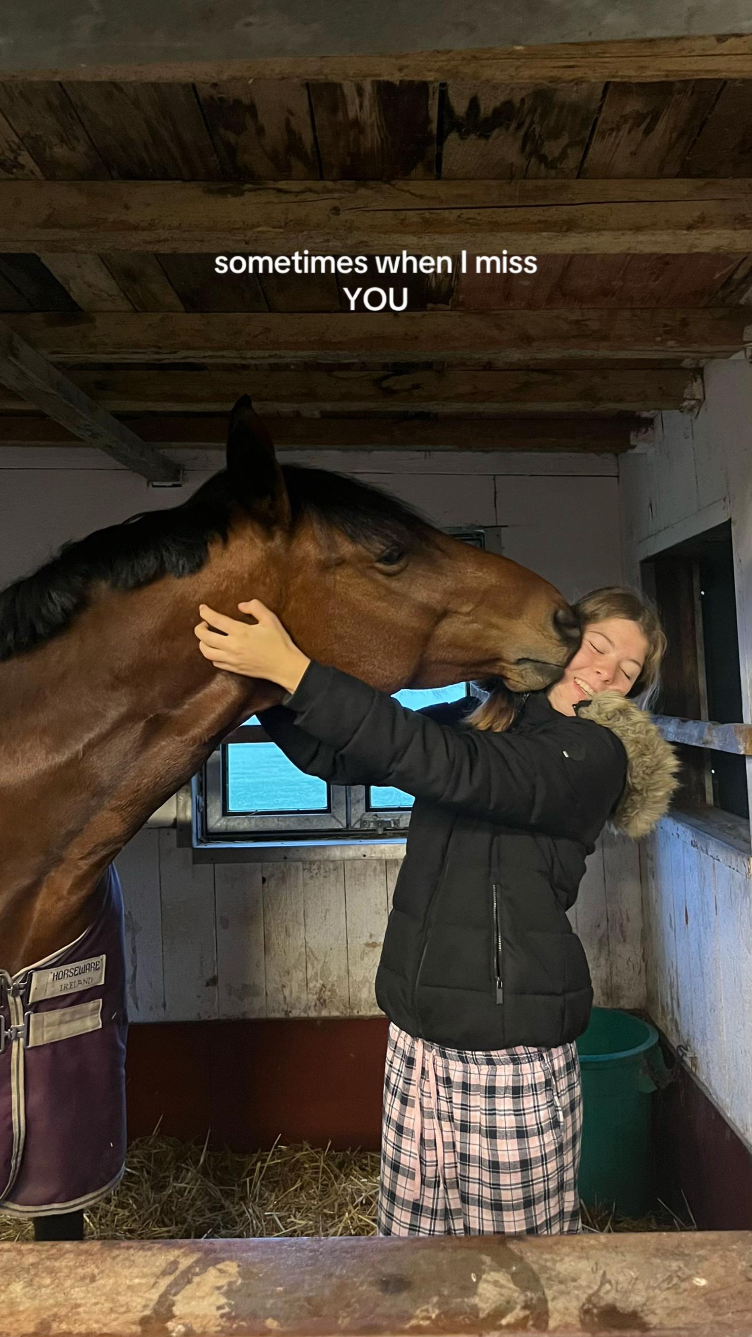 @romeo und das schaf
