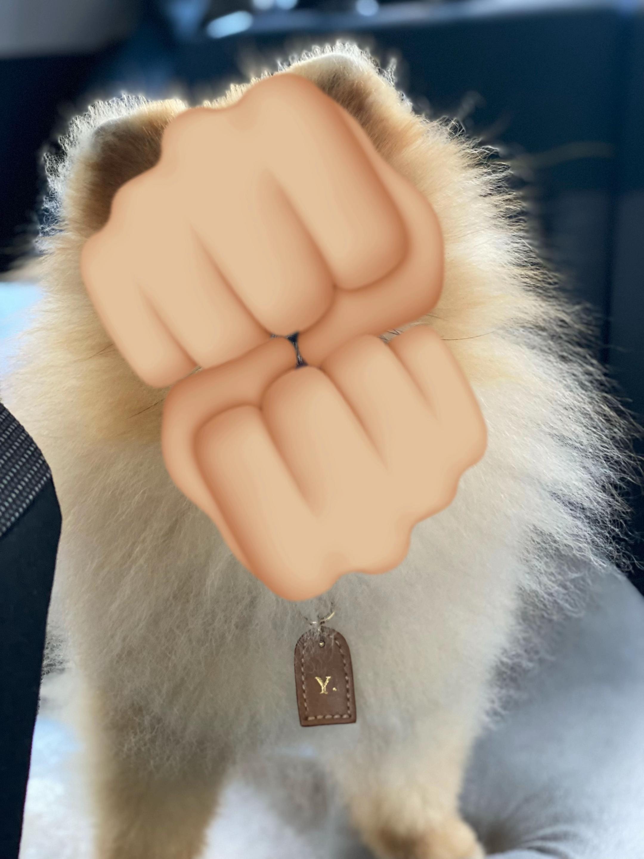 @yoshi.thepom