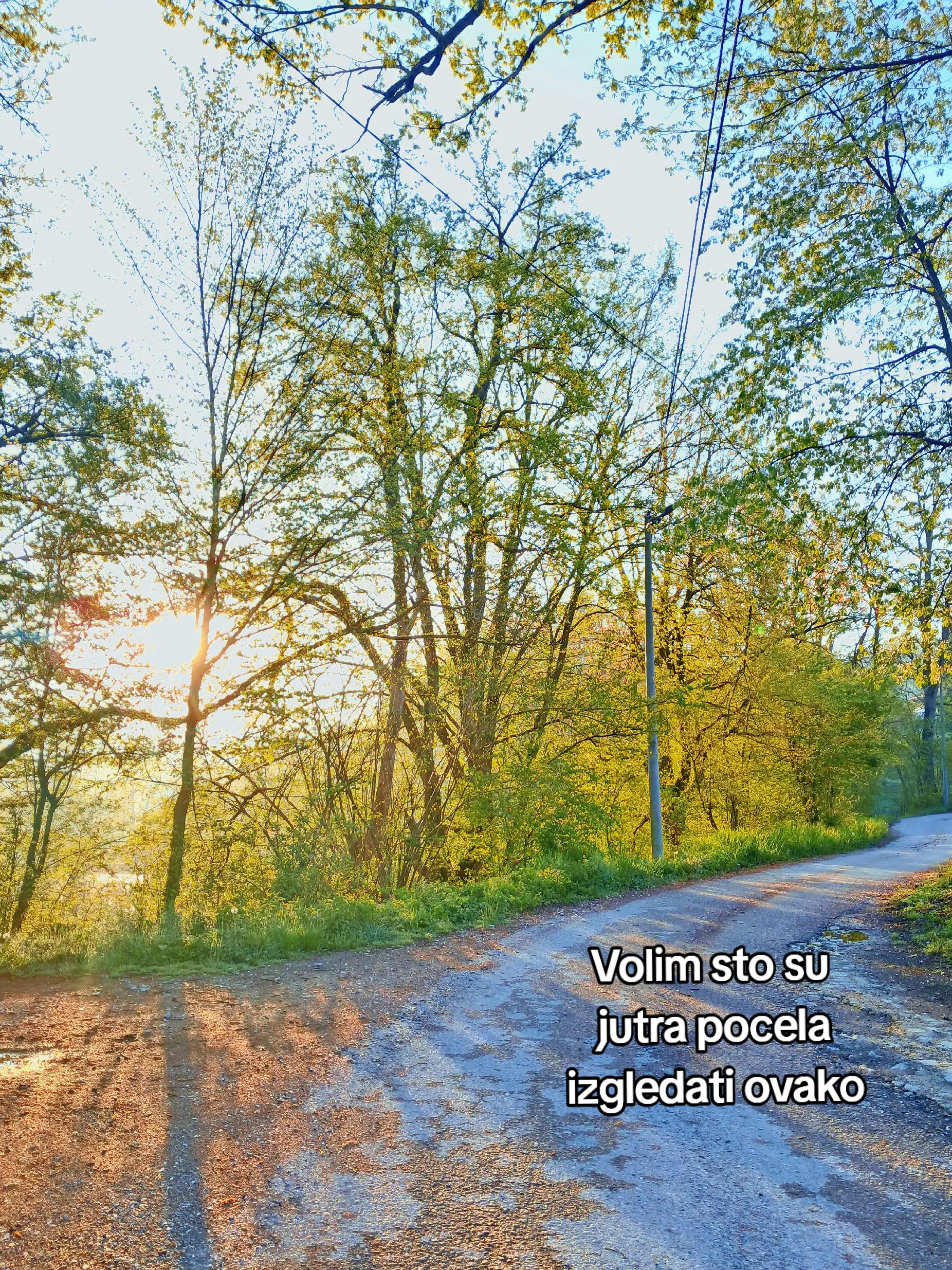 @𝓘𝓷𝓮𝓼⚜️