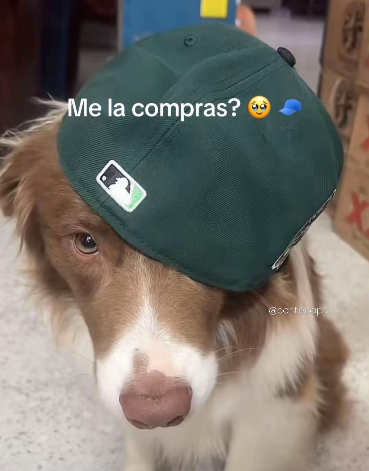 @Contecaps