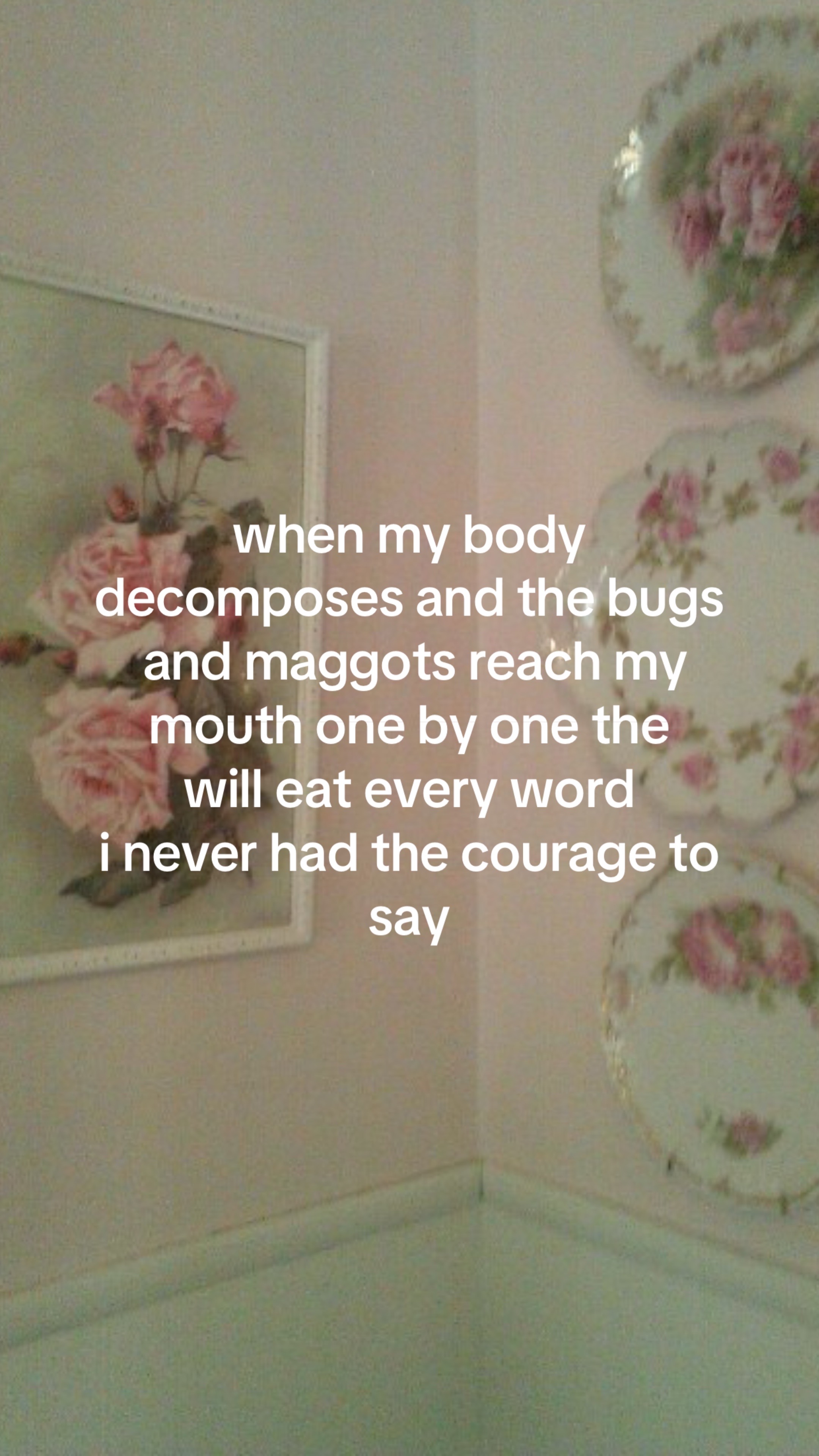 @🪽