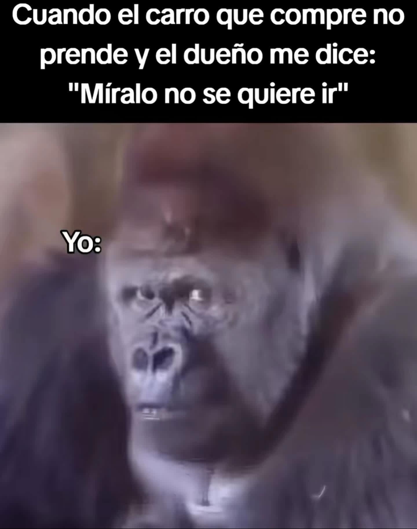 @YoooImMexican