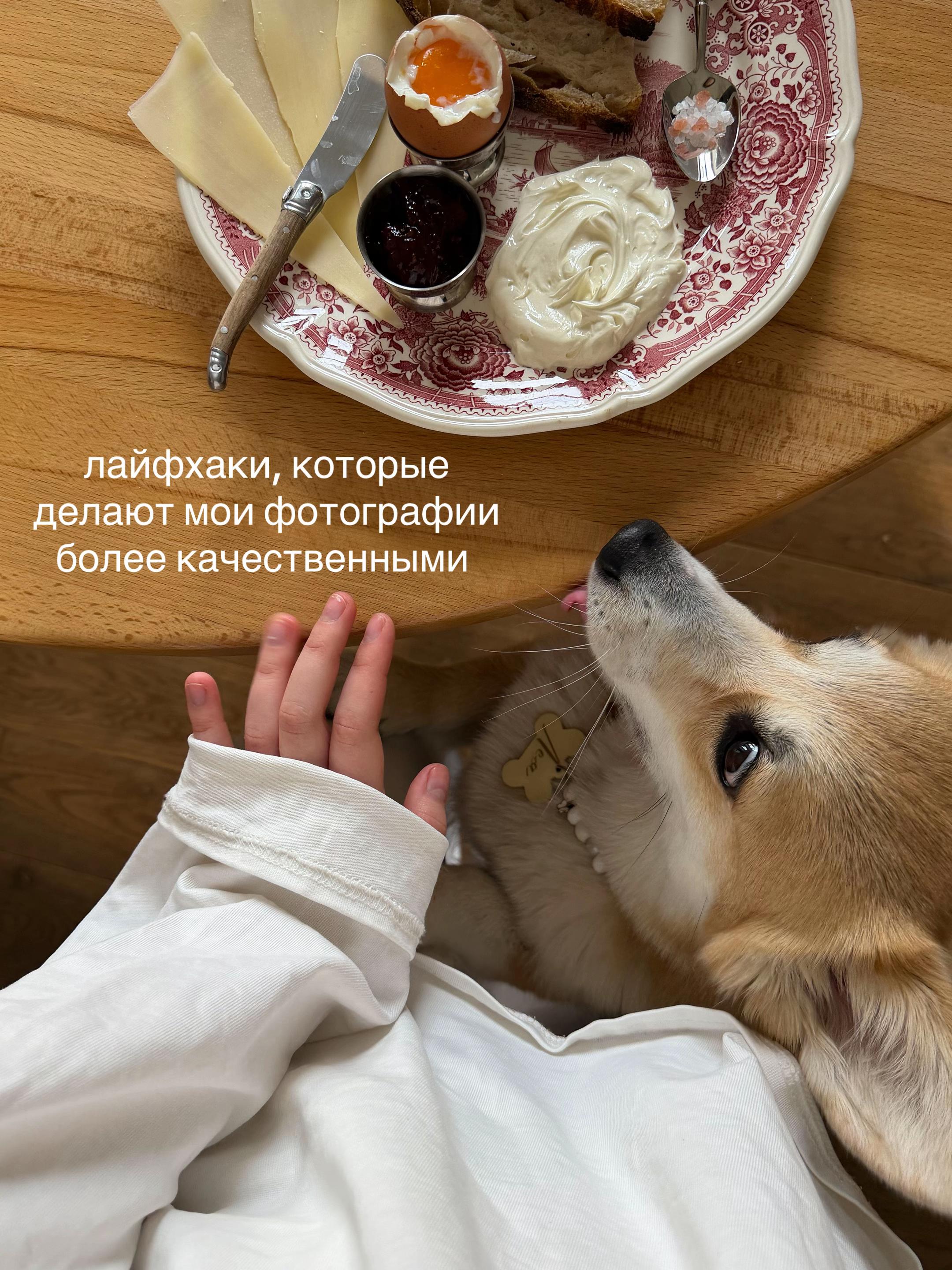 @comfylera 🍪