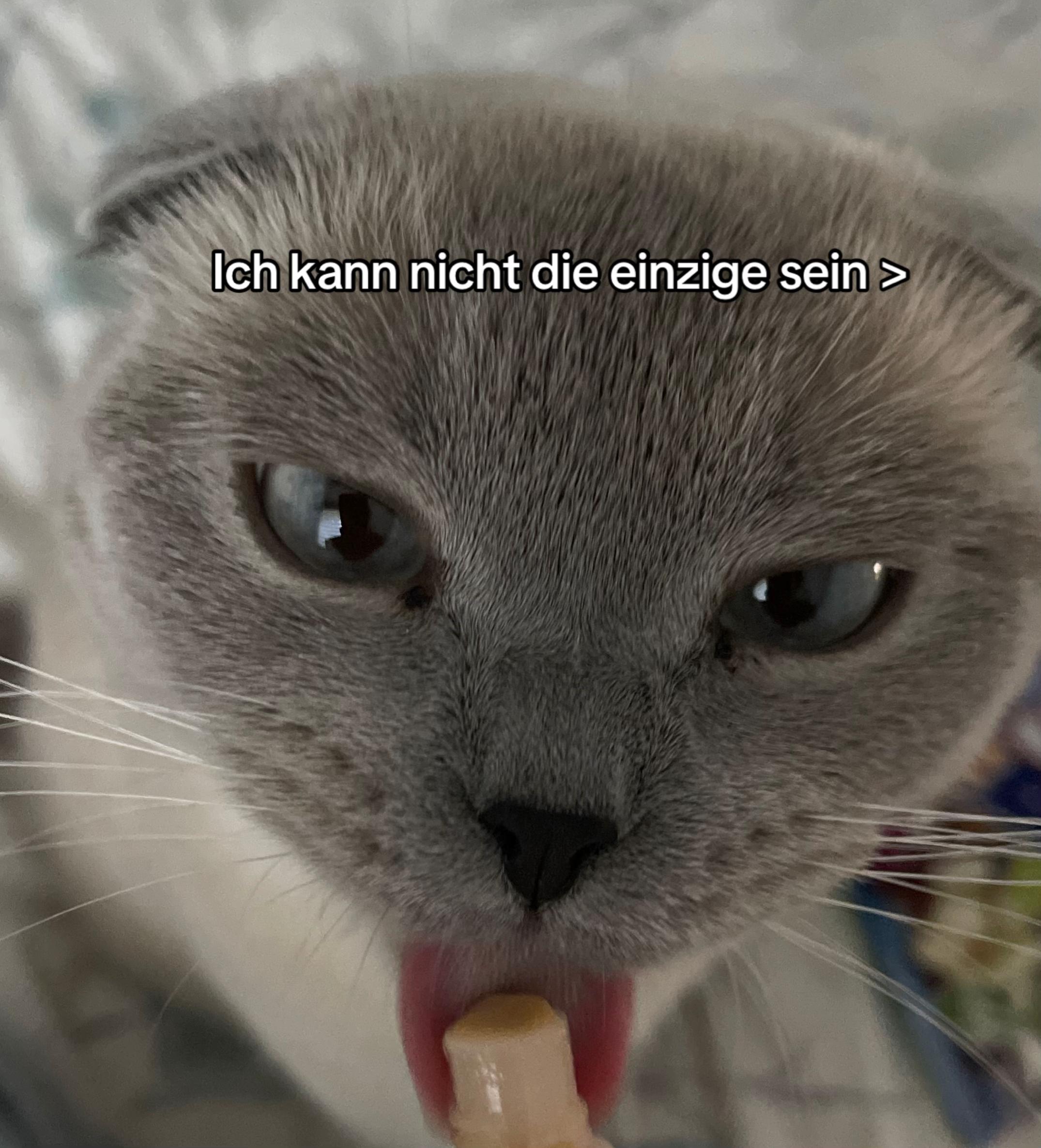 @๐๐๐ข๐ฏ๐