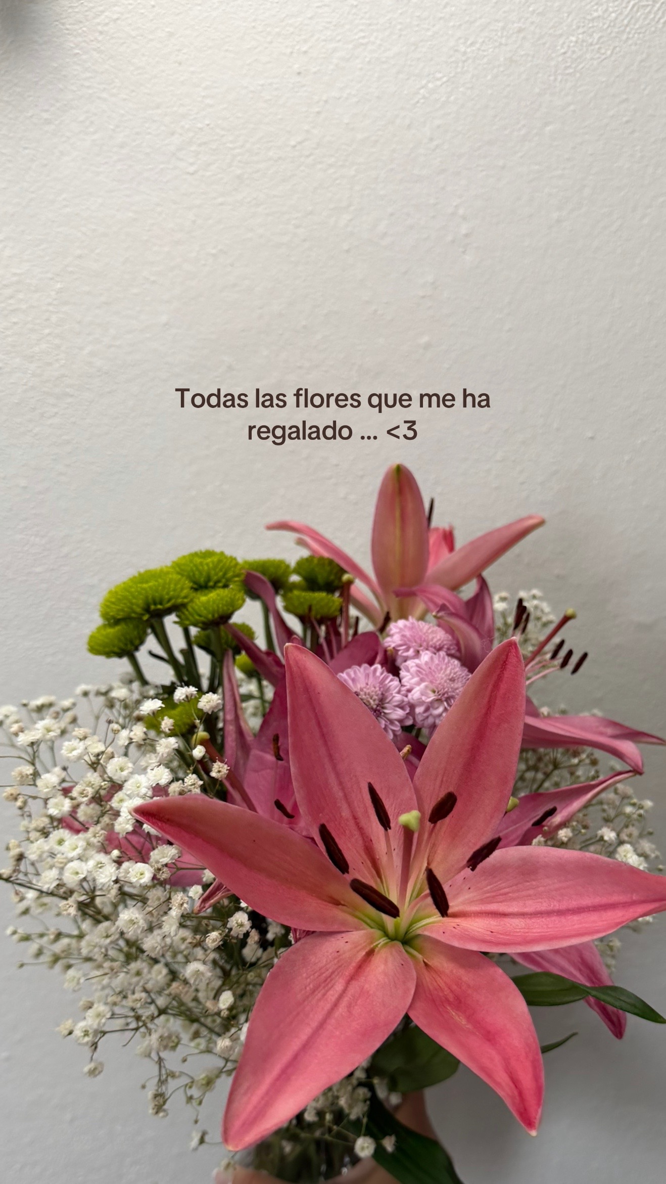 @andreagonzalegz