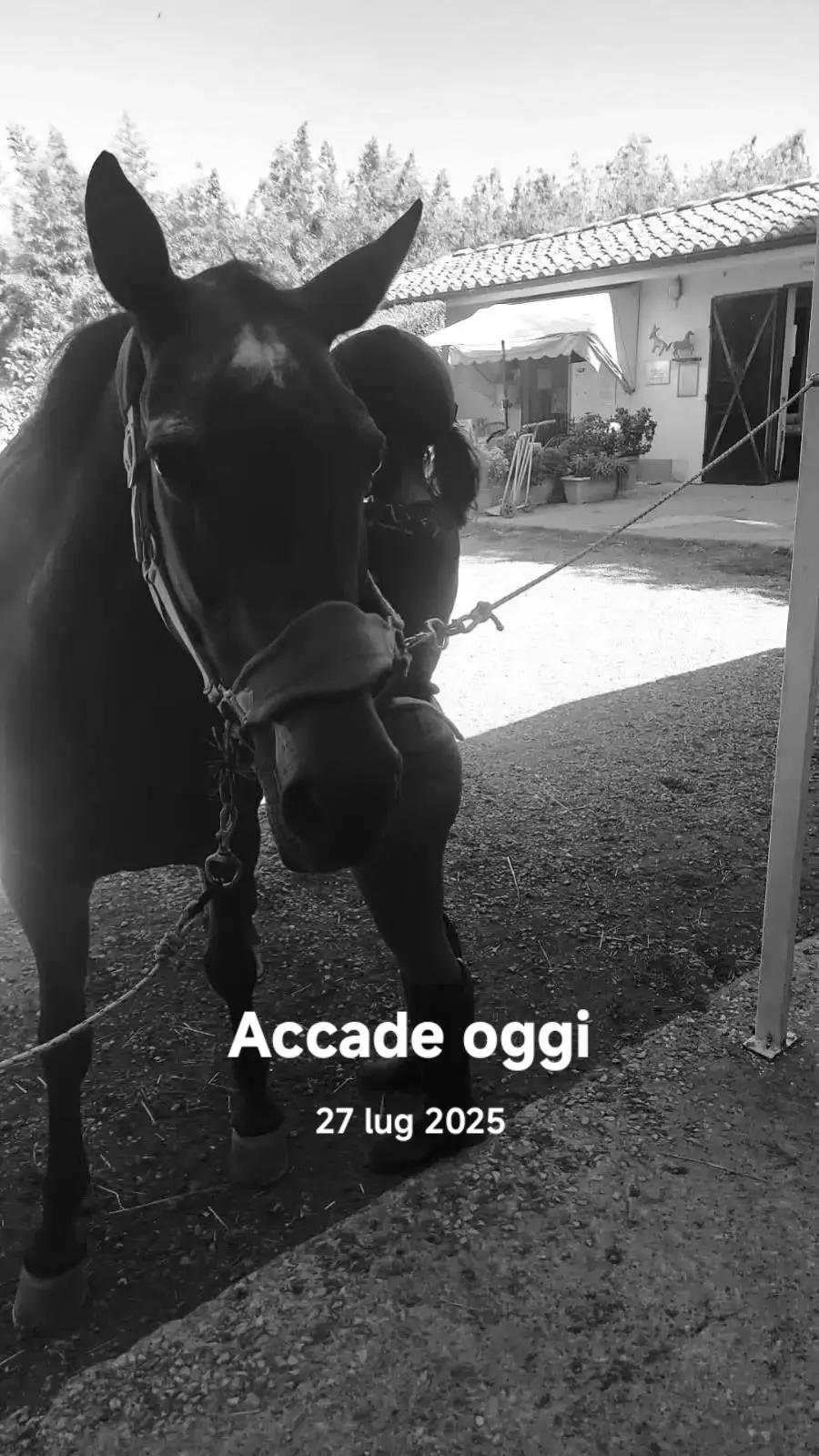 @Alessia Tognoli