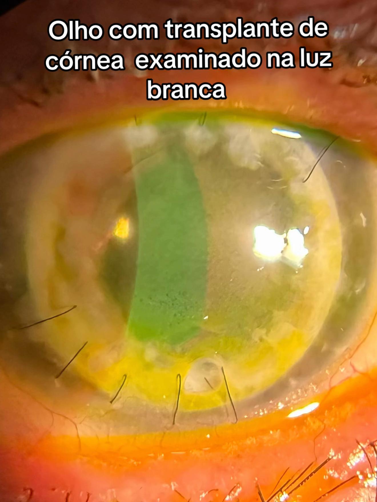 @dradosolhos