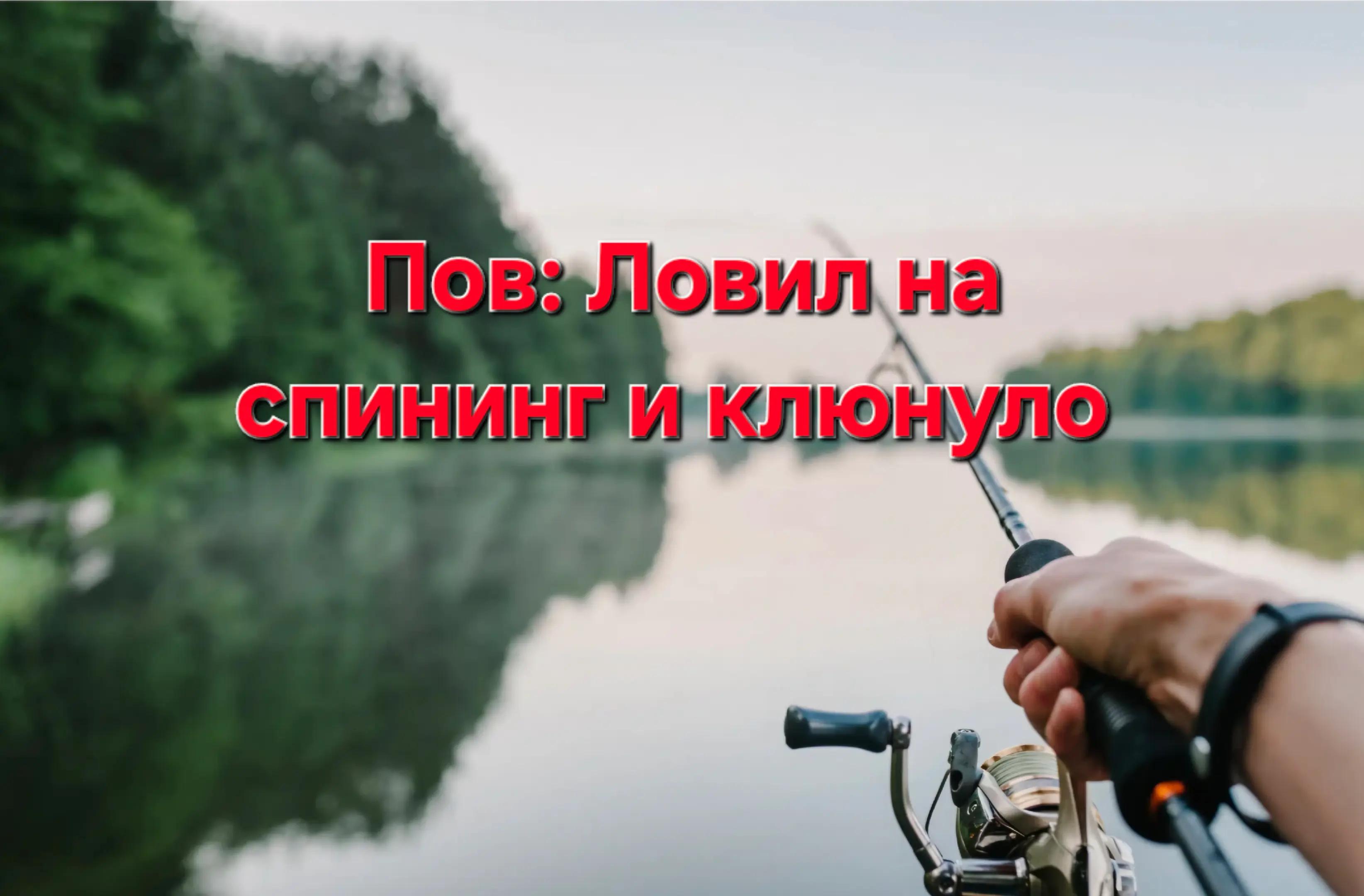 @MSK