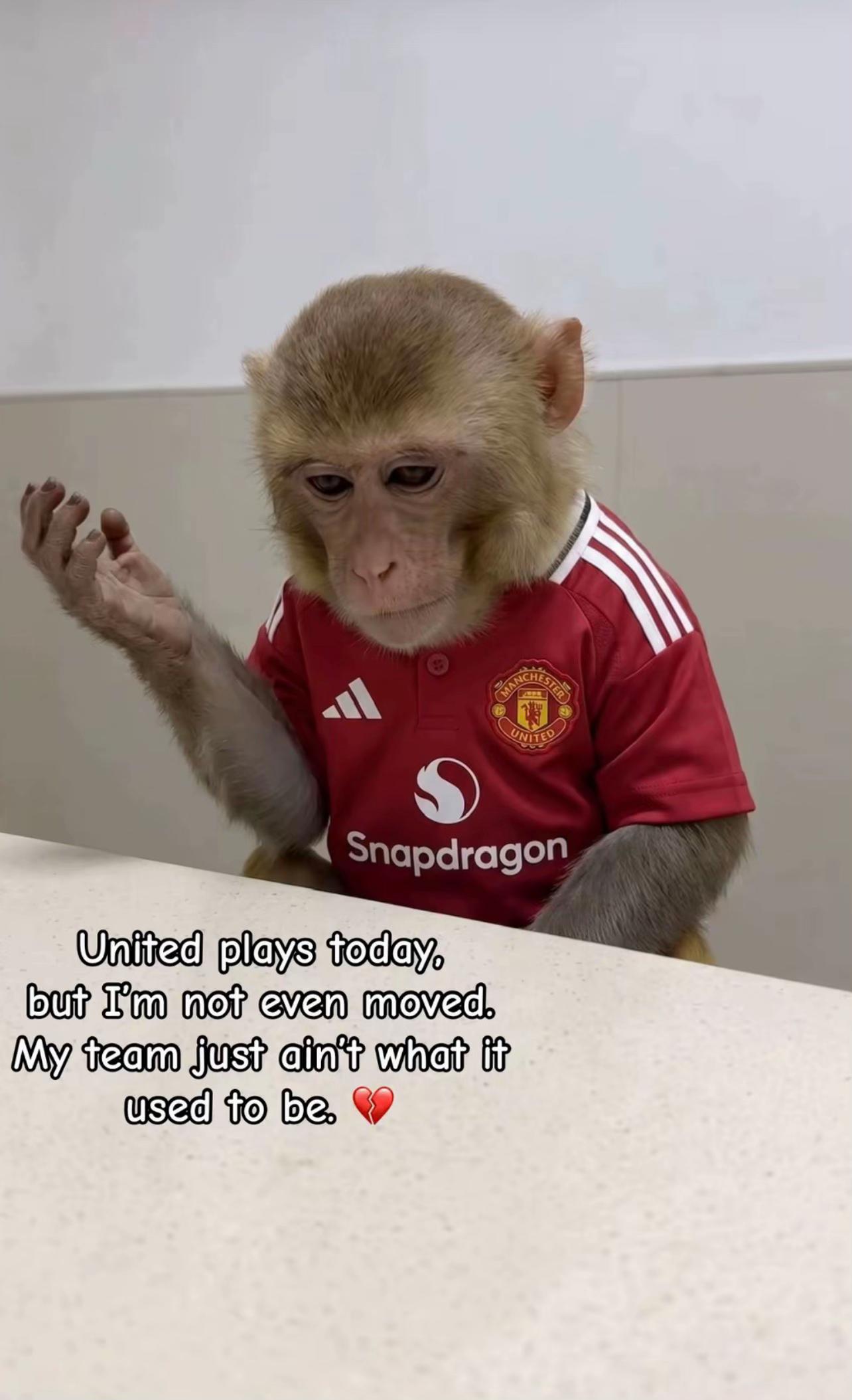 @Ṣ̌įłęŋŧ Éfòøtbåłl 🌎 ⚽️💯