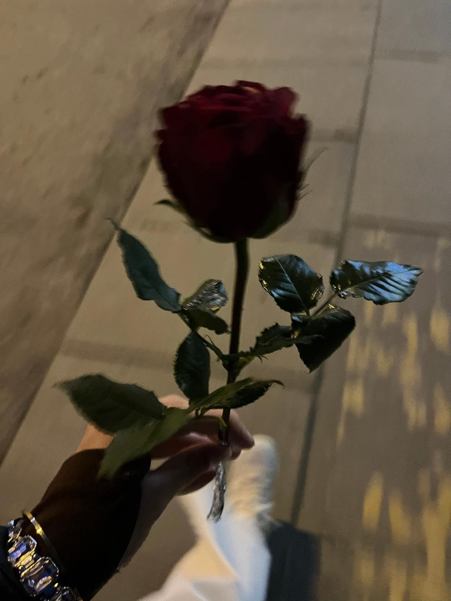 @nidaa🤍