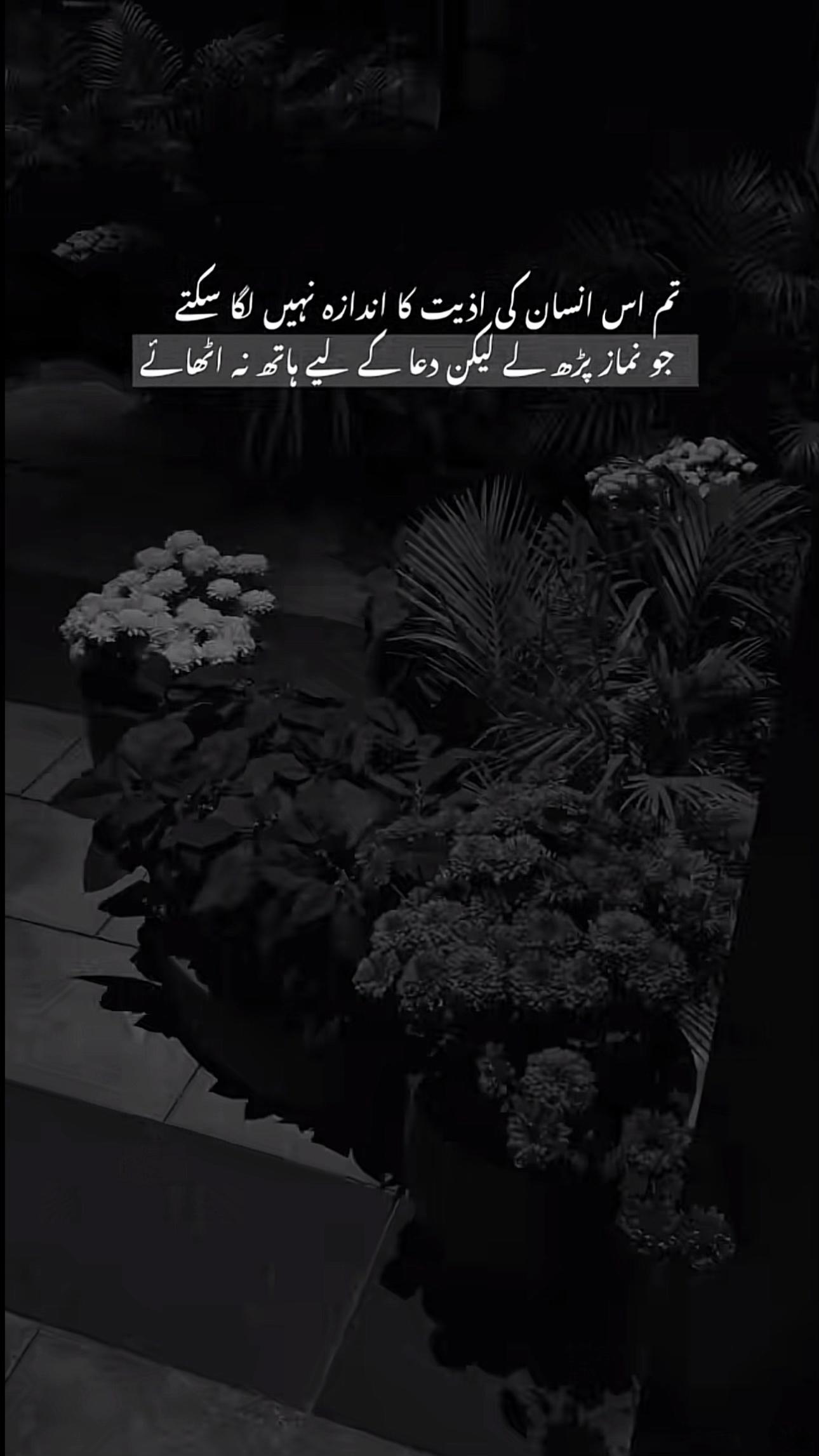 @عمارہ چیمہ🦢